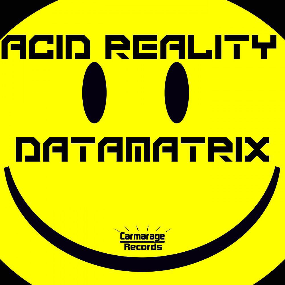 Datamatrix - Acid Reality B