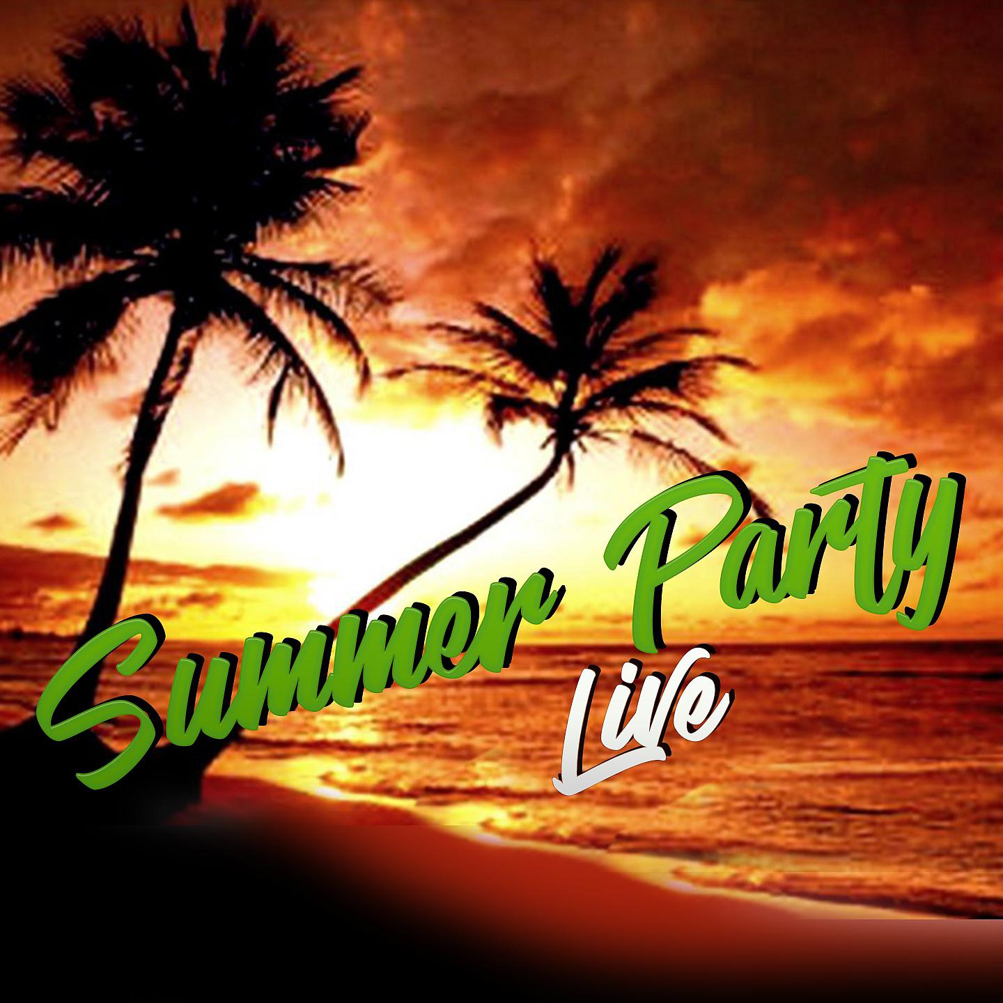 Постер альбома Summer Party Live