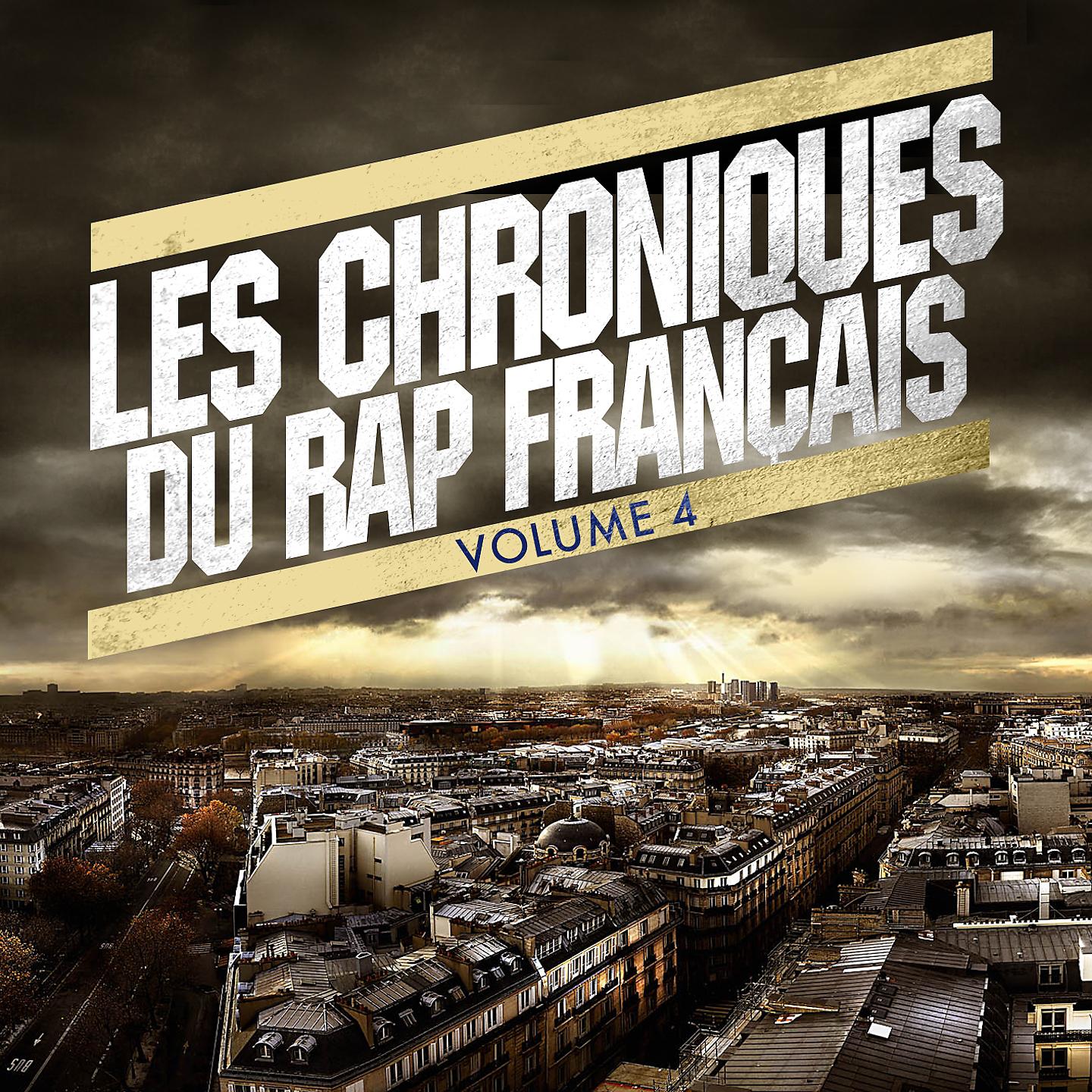 Постер альбома Les chroniques du rap français 4