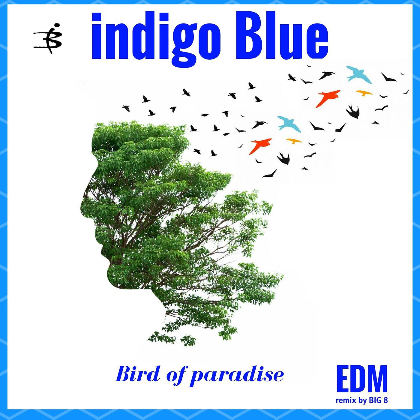 Indigo Blue - Bird of Paradise (Big 8 Edm Remix)
