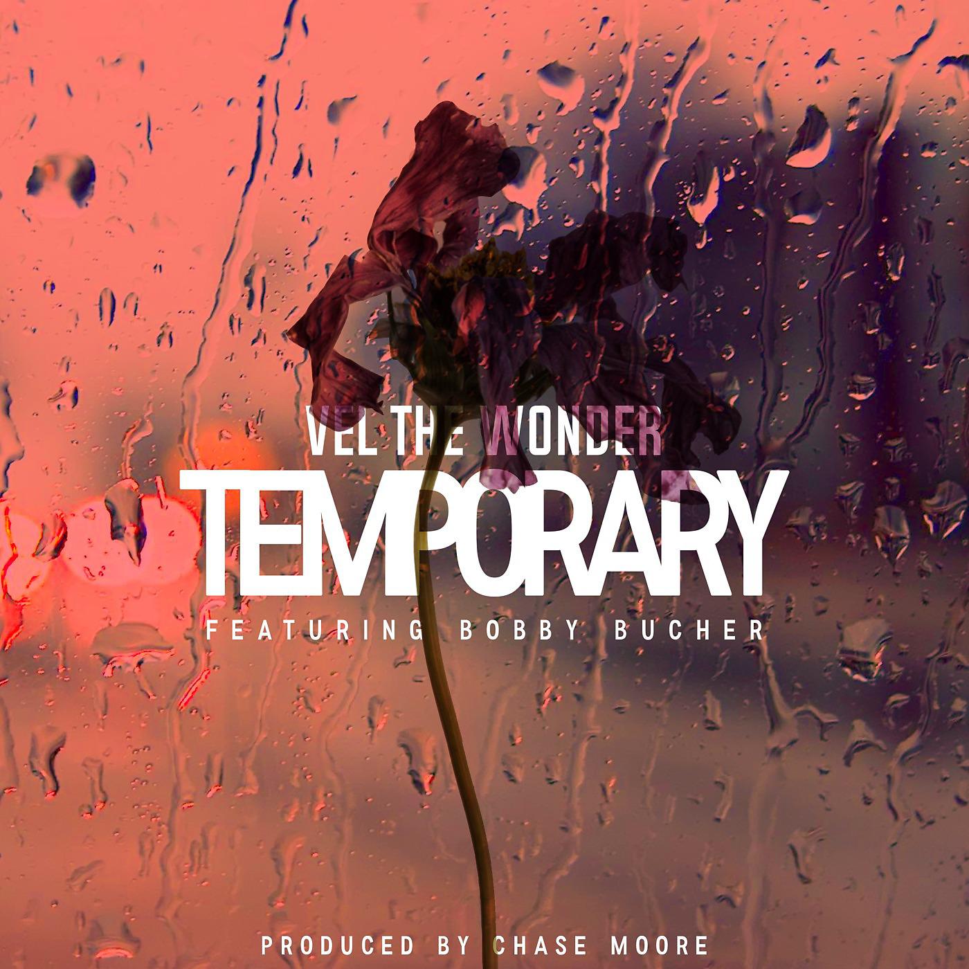 Постер альбома Temporary (feat. Bobby Bucher)