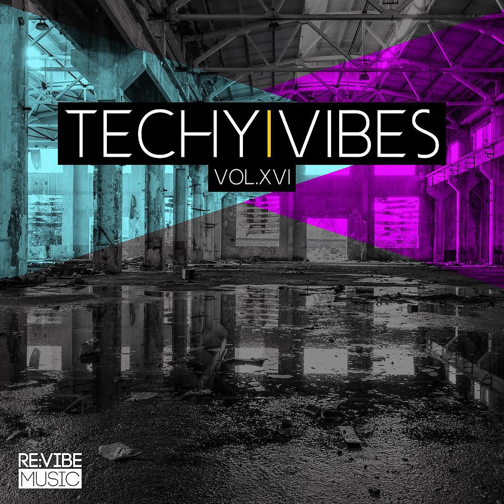 Постер альбома Techy Vibes, Vol. 16