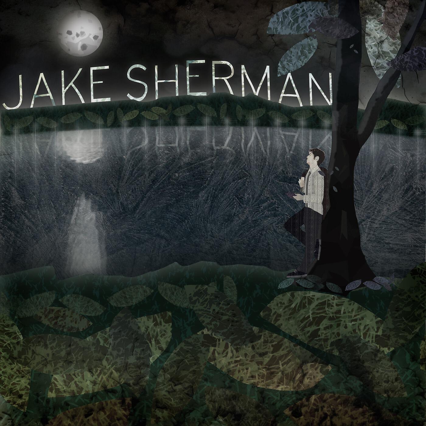 Jake Sherman - I Knew It Was Goodbye
