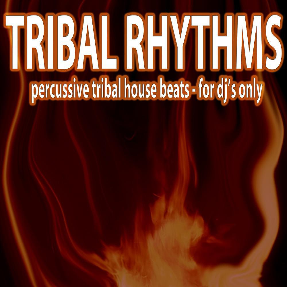 Постер альбома Tribal Rhythms (Percussive Tribal House Beats)