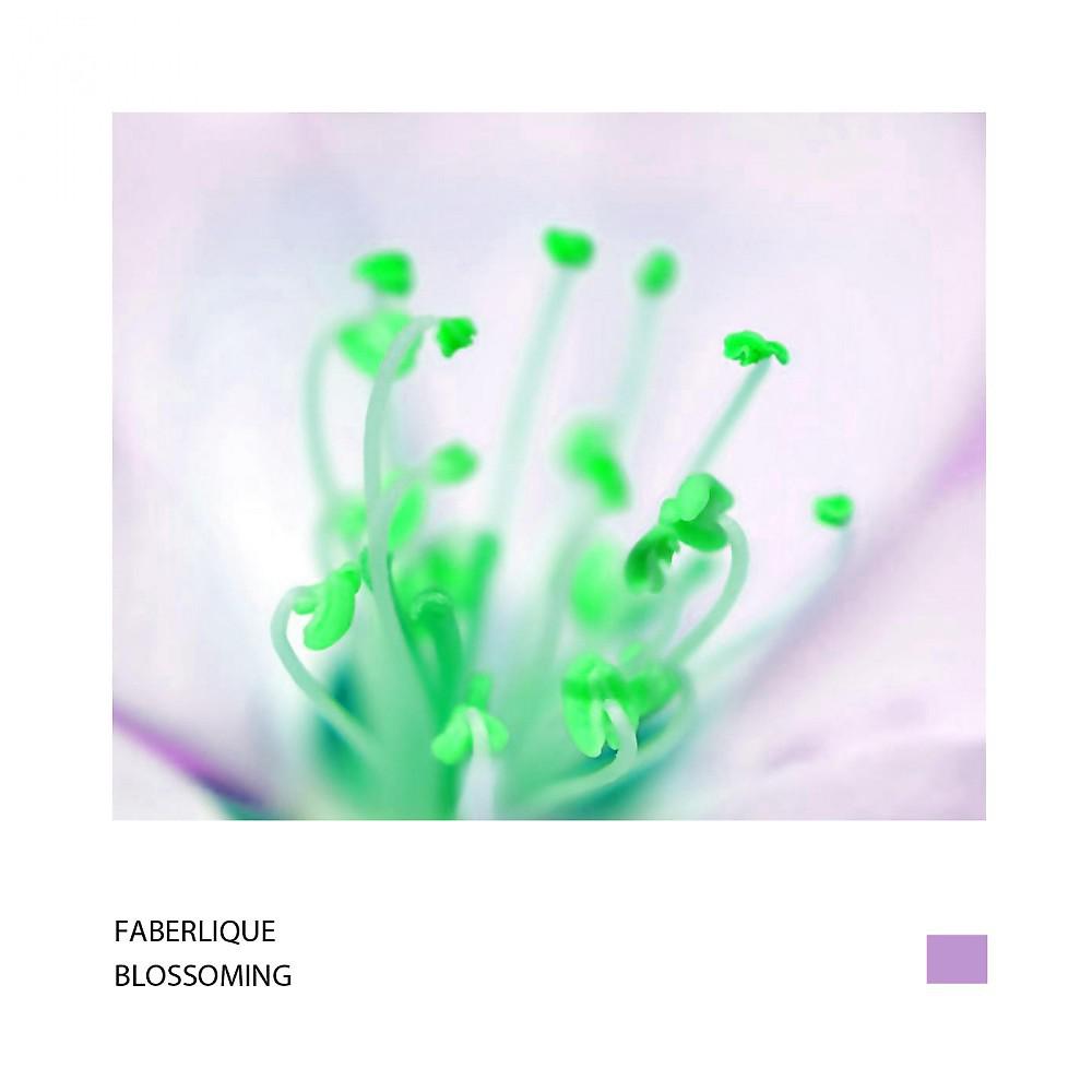 Постер альбома Blossoming