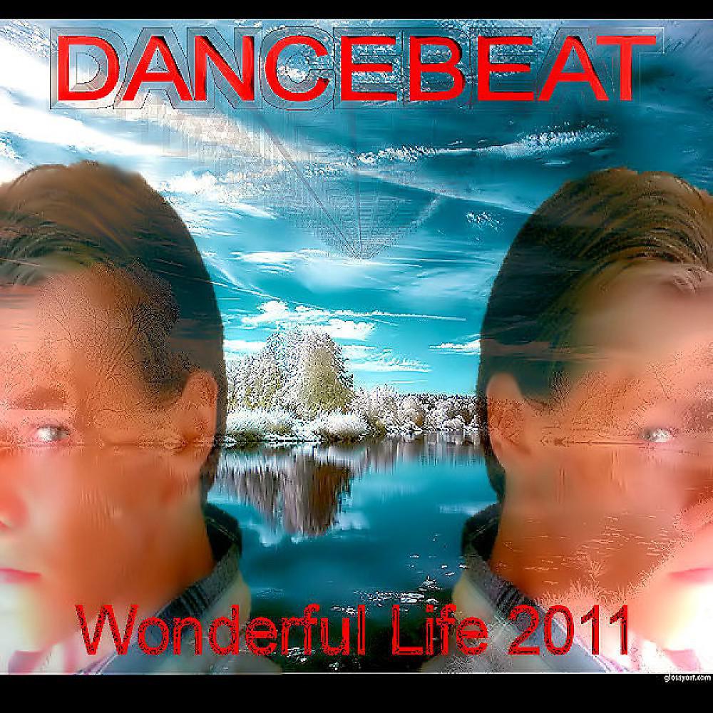 Постер альбома Wonderful Life 2011