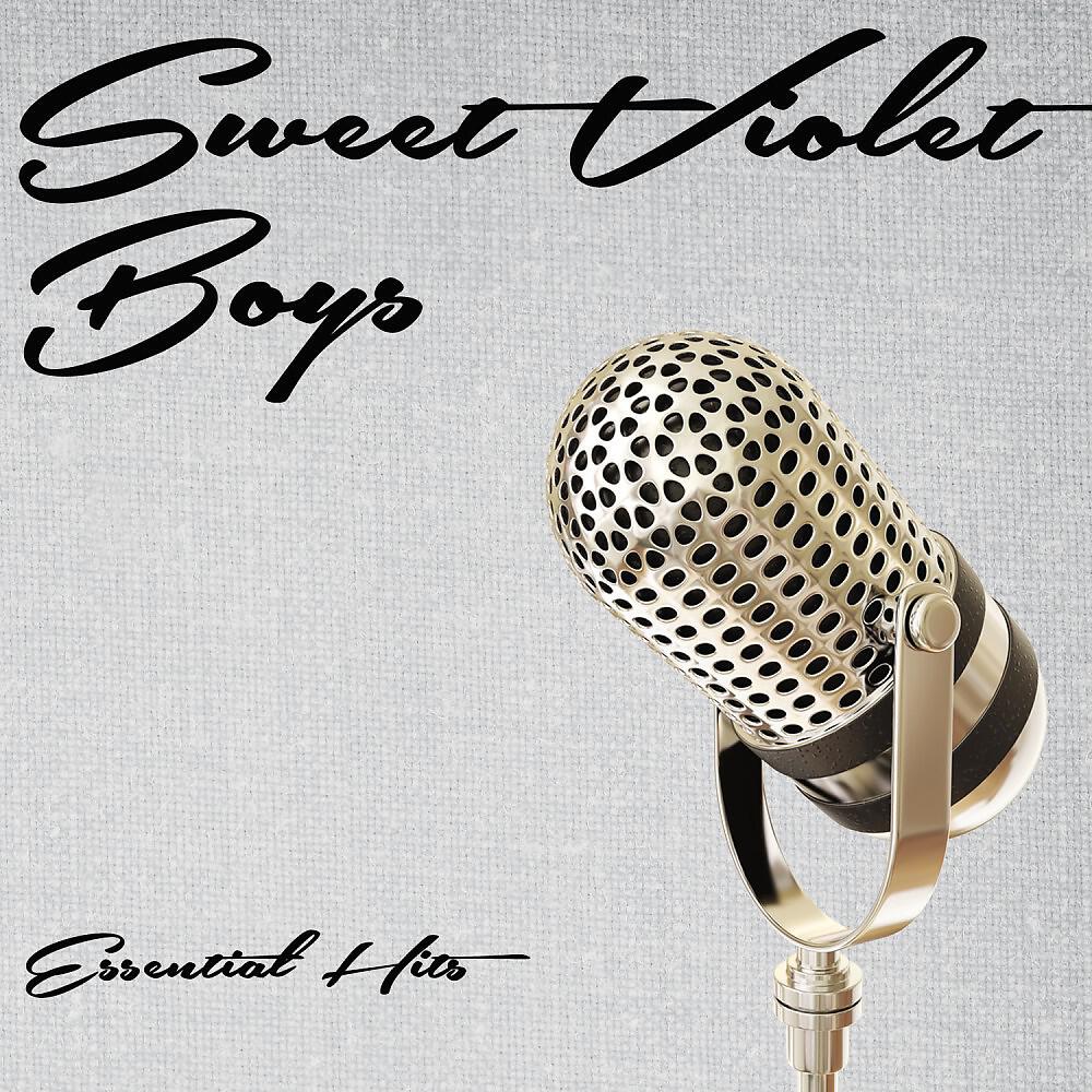 Sweet Violet Boys - Hop Pickin Time in Happy Valley (Original Mix)
