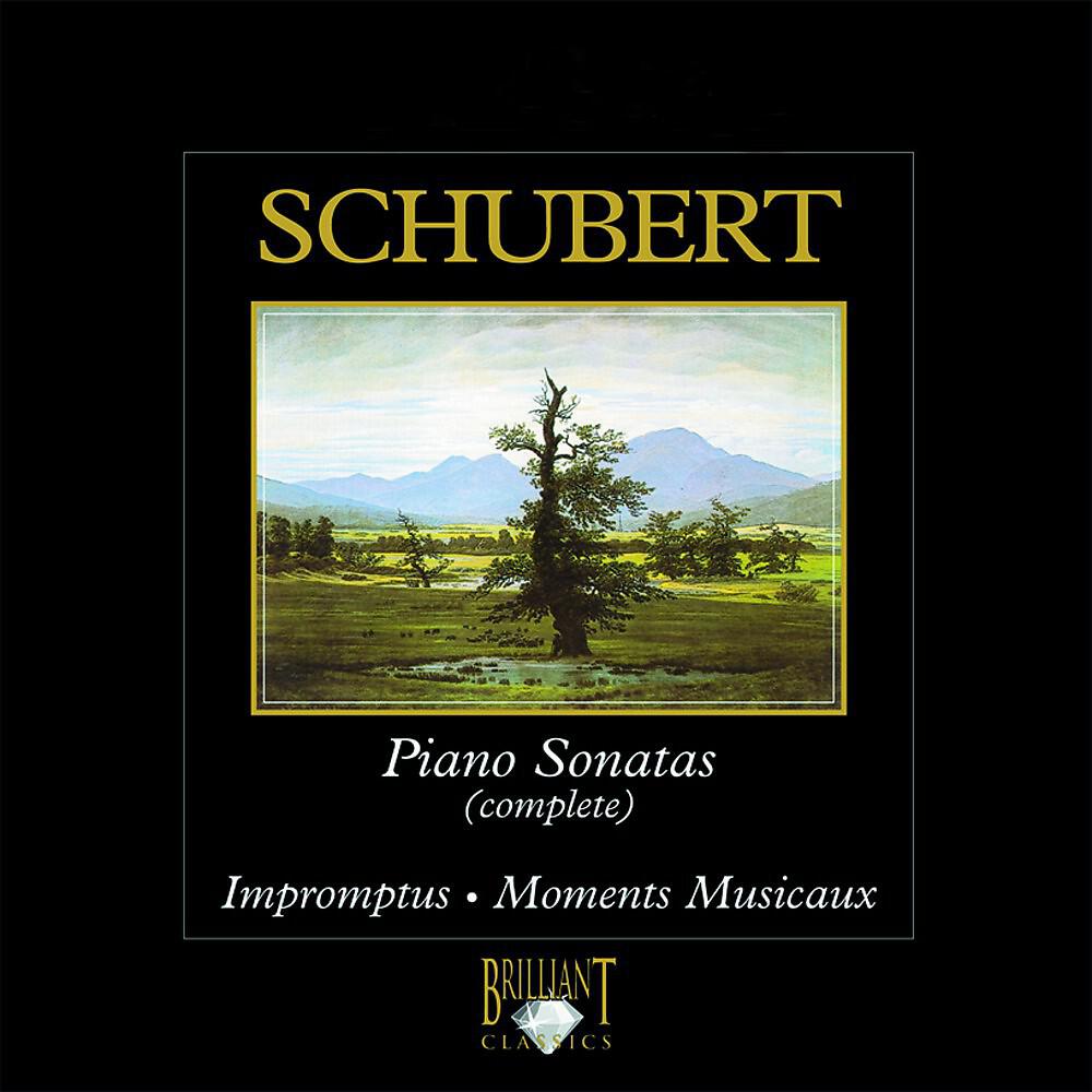 Martijn van den Hoek - Impromptus, Op. 90: No. 1 in C Minor. Allegro molto moderato