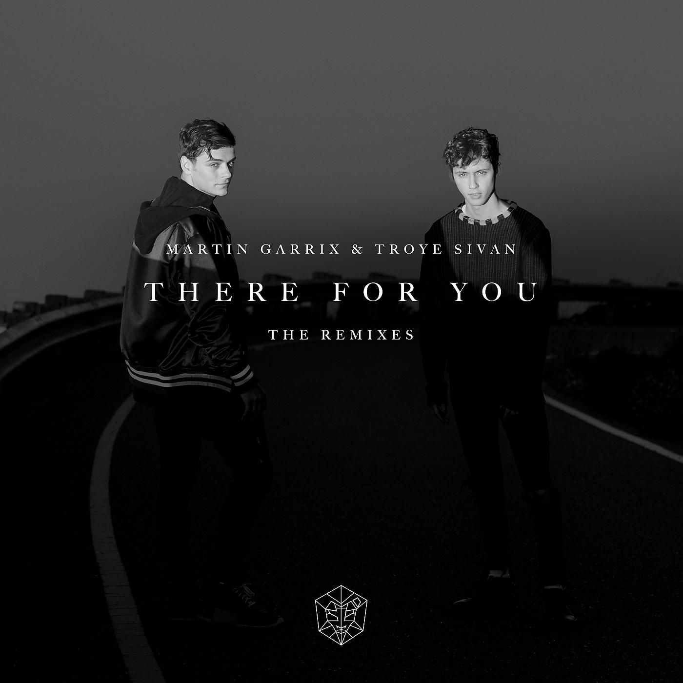 Martin Garrix, Troye Sivan - There For You (Dzeko Remix)