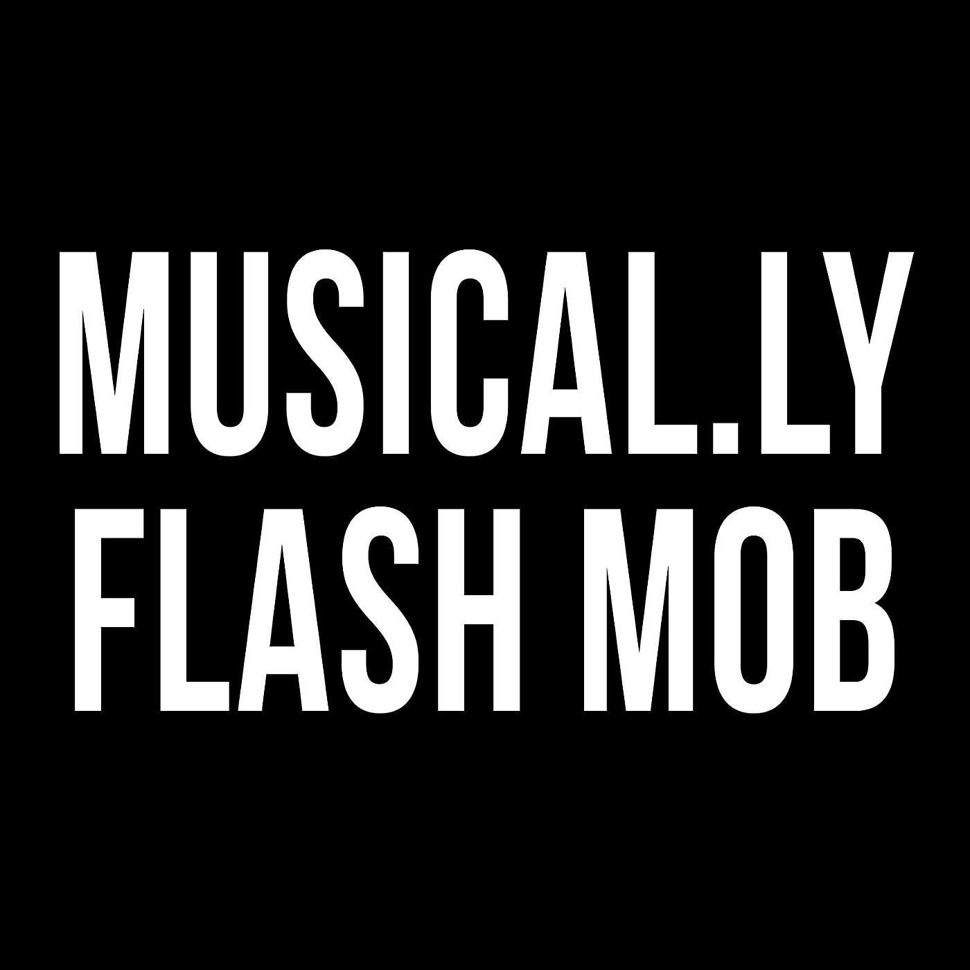 Постер альбома Musical.Ly Flash Mob