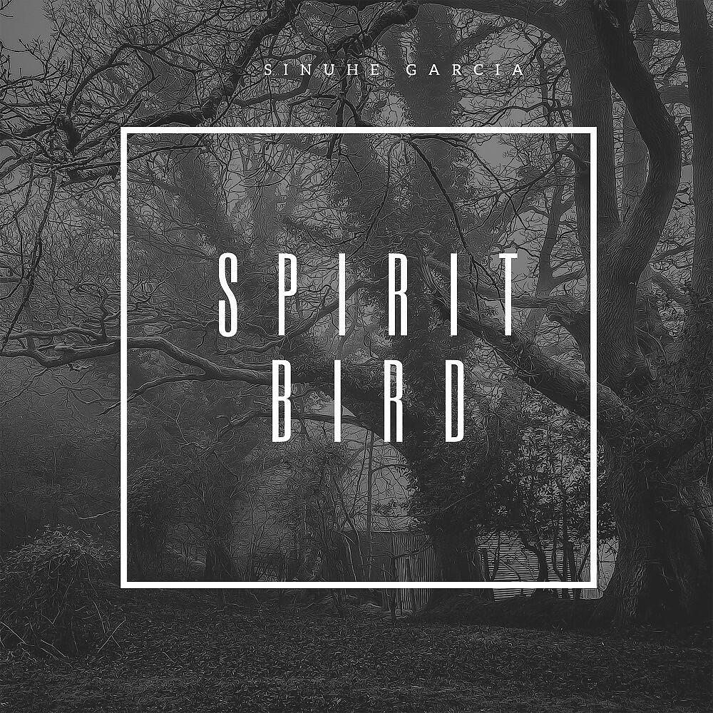 Sinuhe Garcia - Spirit Bird (Original Mix)