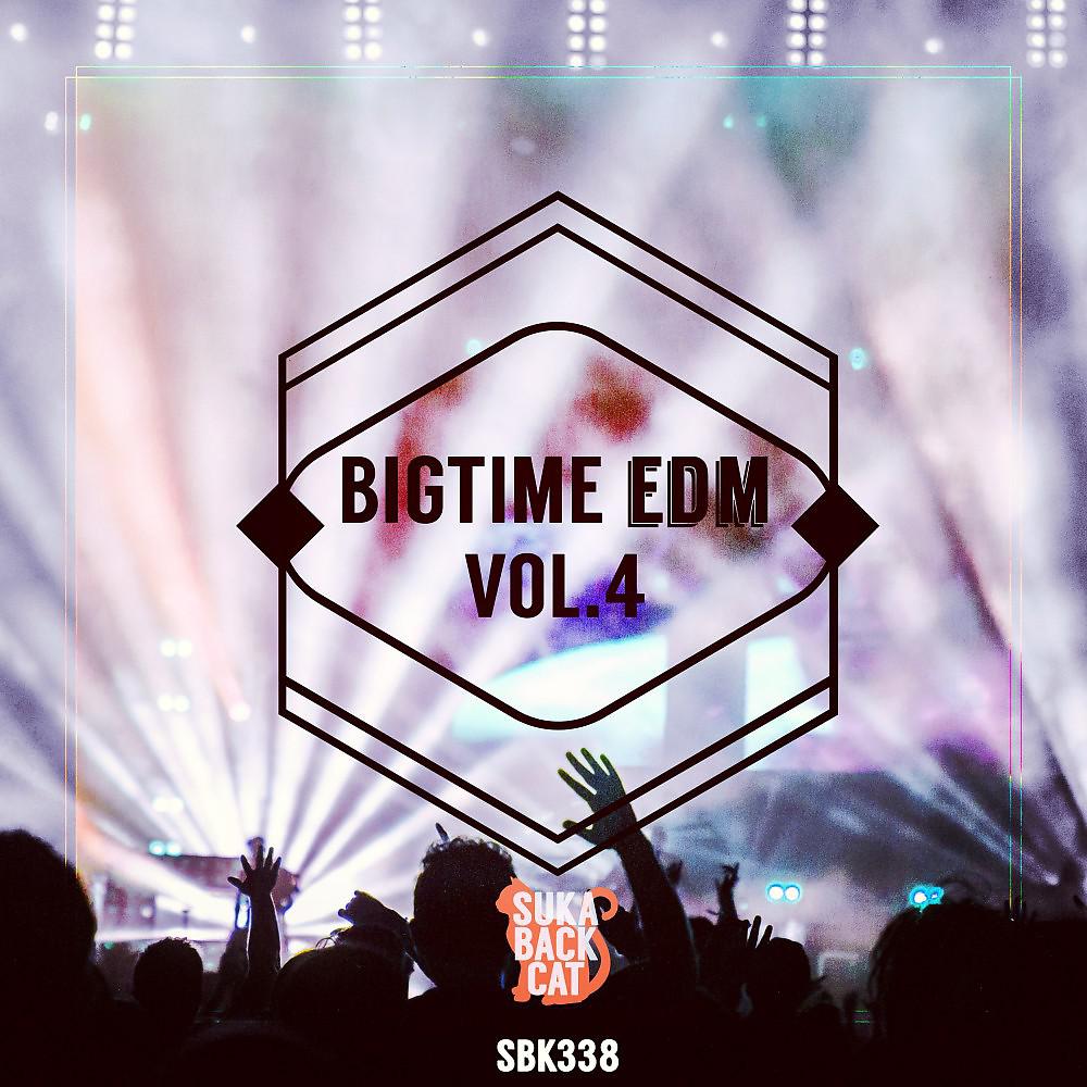 Постер альбома Bigtime EDM, Vol. 4