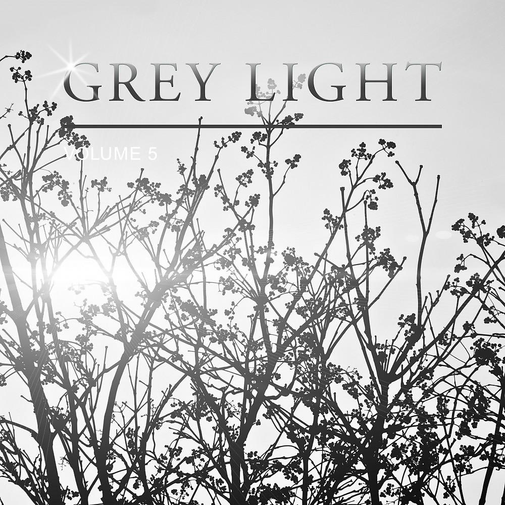 Постер альбома Grey Light, Vol. 5