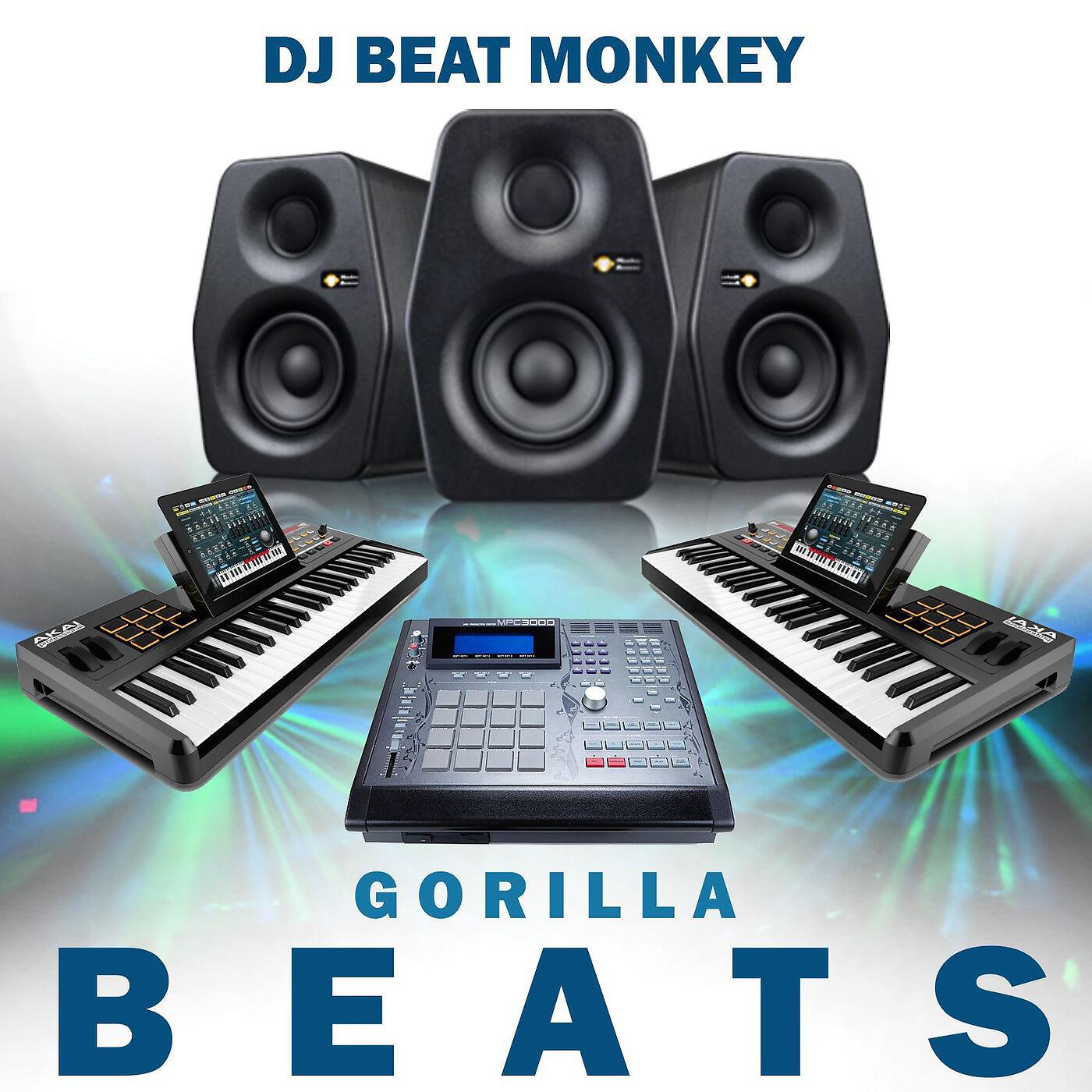 dj beat monkey - Tell Me Where to Go
