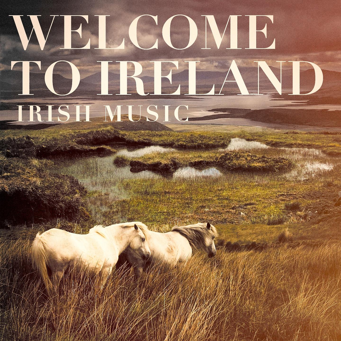 Постер альбома Welcome to Ireland (Irish Music)