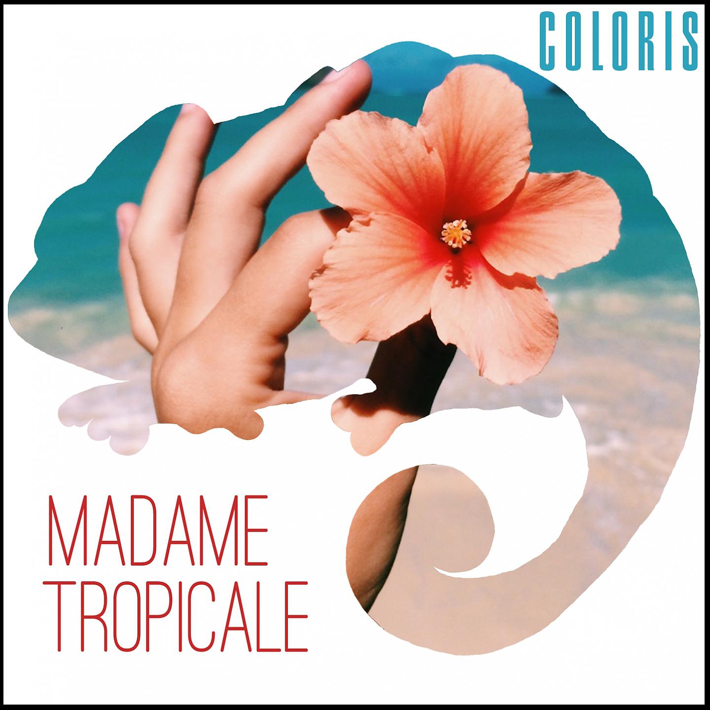 Постер альбома Madame tropicale