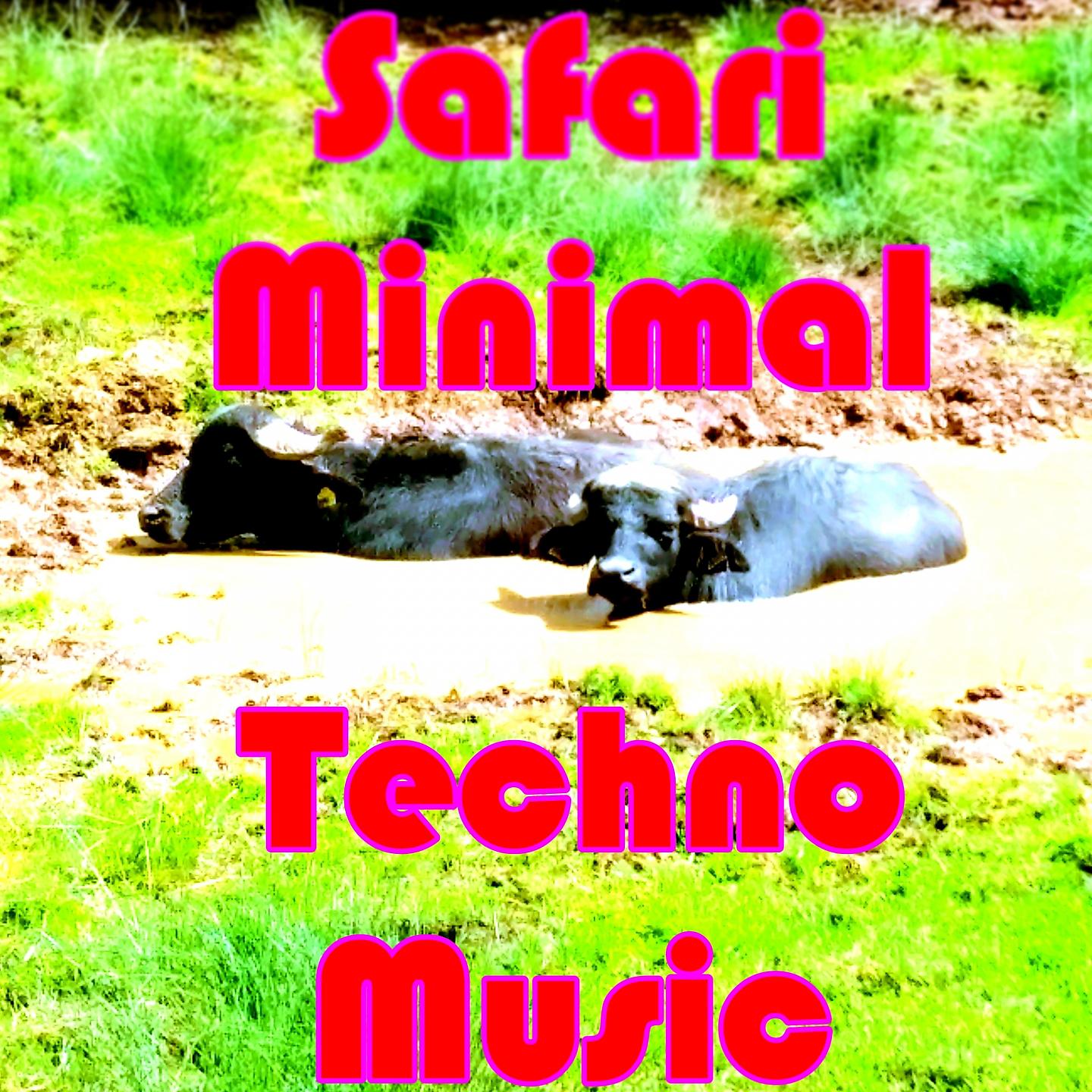 Постер альбома Safari Minimal Techno Music