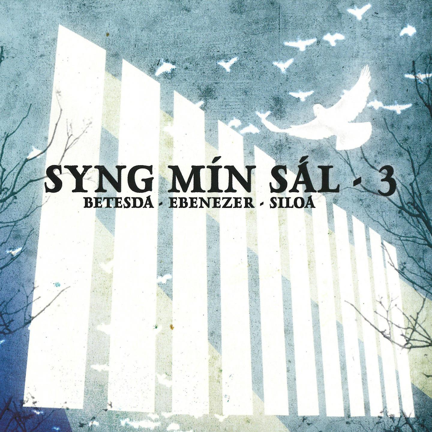 Постер альбома Syng Mín Sál 3