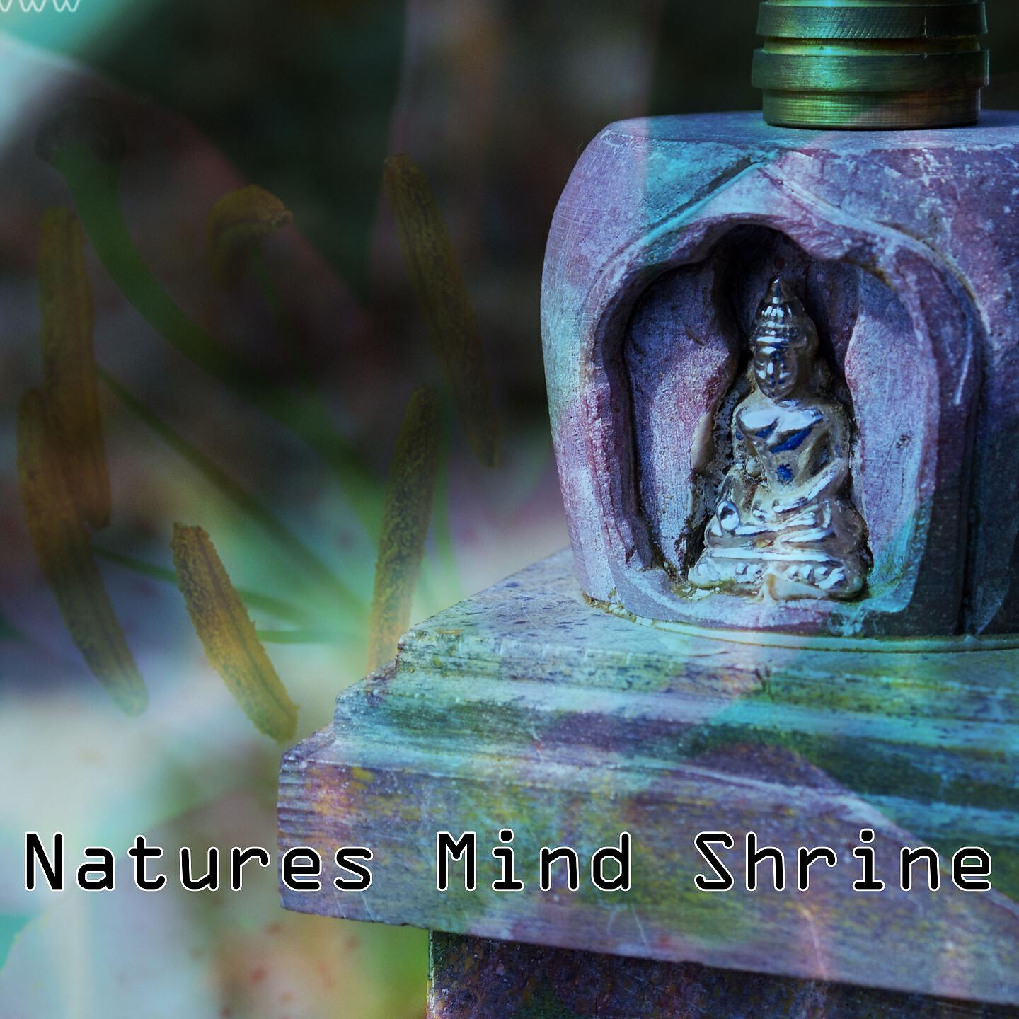 Zen Meditation and Natural White Noise and New Age Deep Massage - Echoes Of Awareness