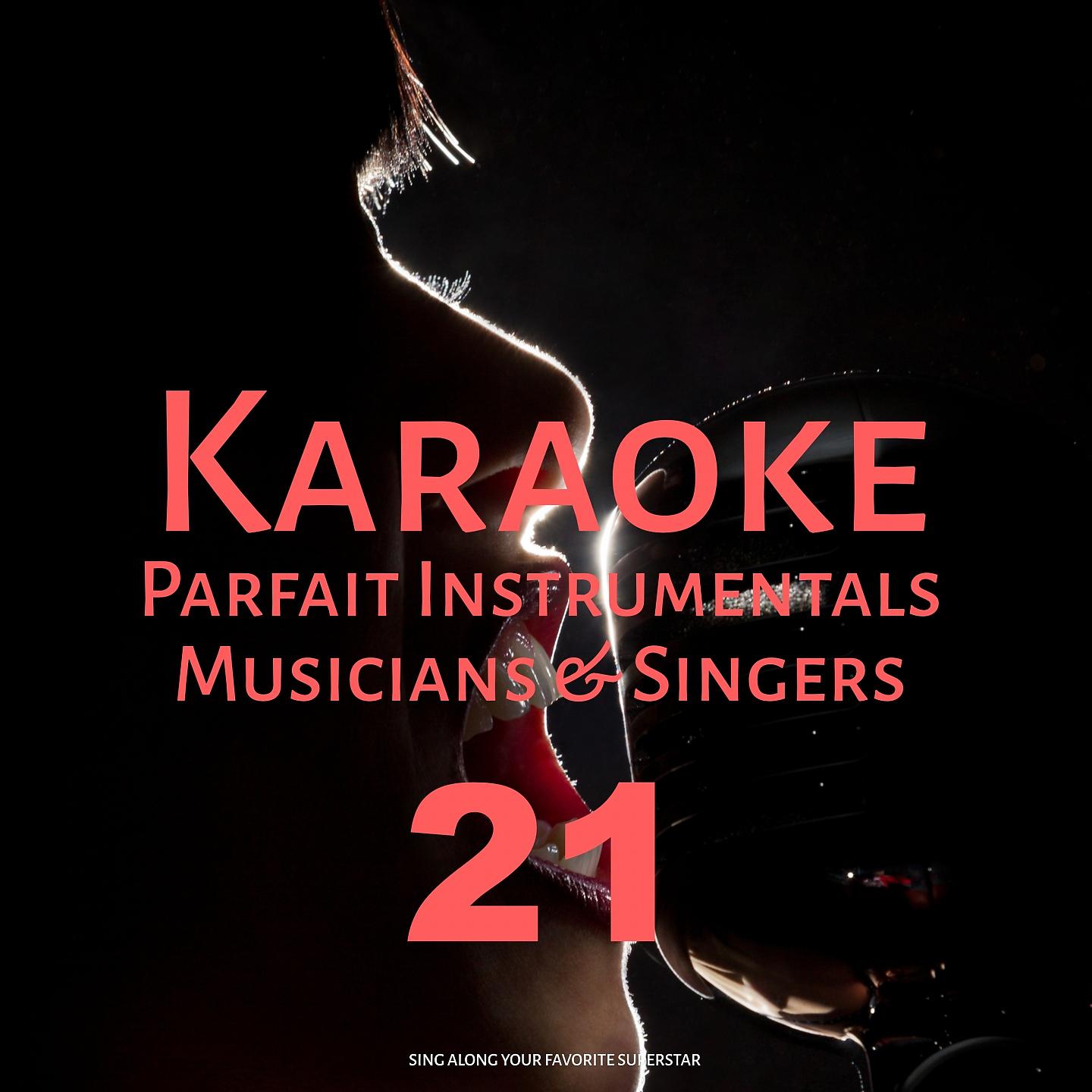 Постер альбома Karaoke Parfait Instrumentals Musicians & Singers, Vol. 21