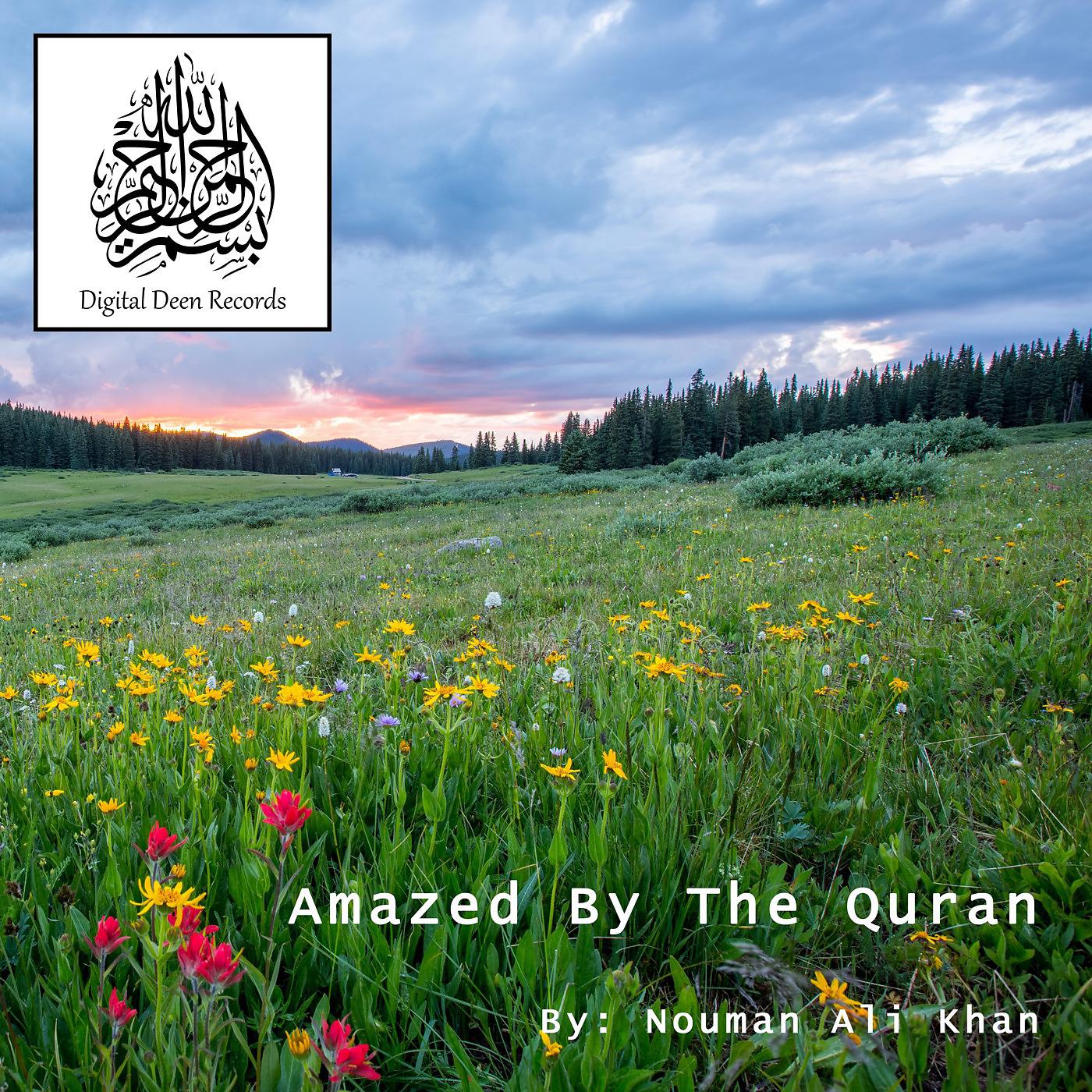 Постер альбома Amazed by the Quran