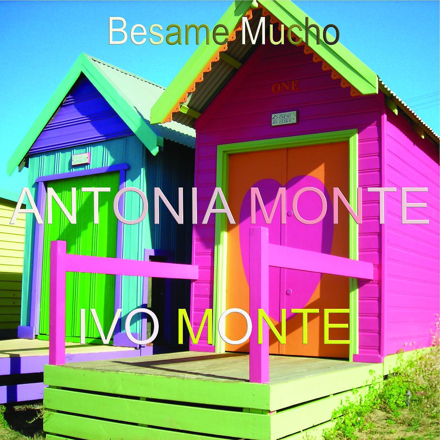 Постер альбома Bésame Mucho