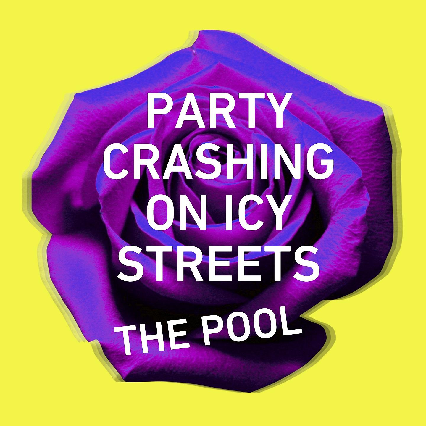 Постер альбома Party Crashing on Icy Streets