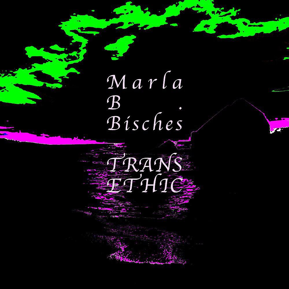 Marla B. Bisches - A Star Explosion