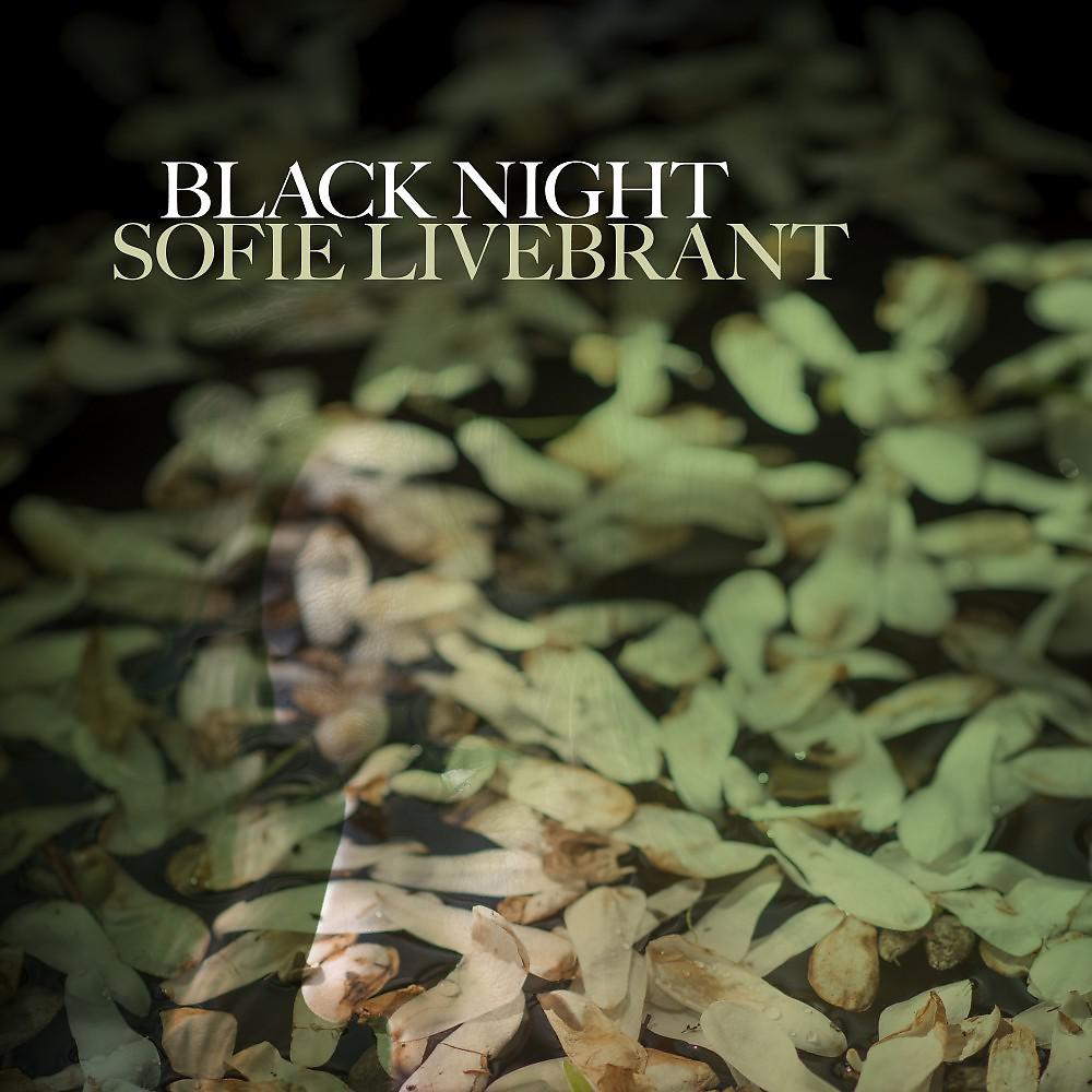 Постер альбома Black Night