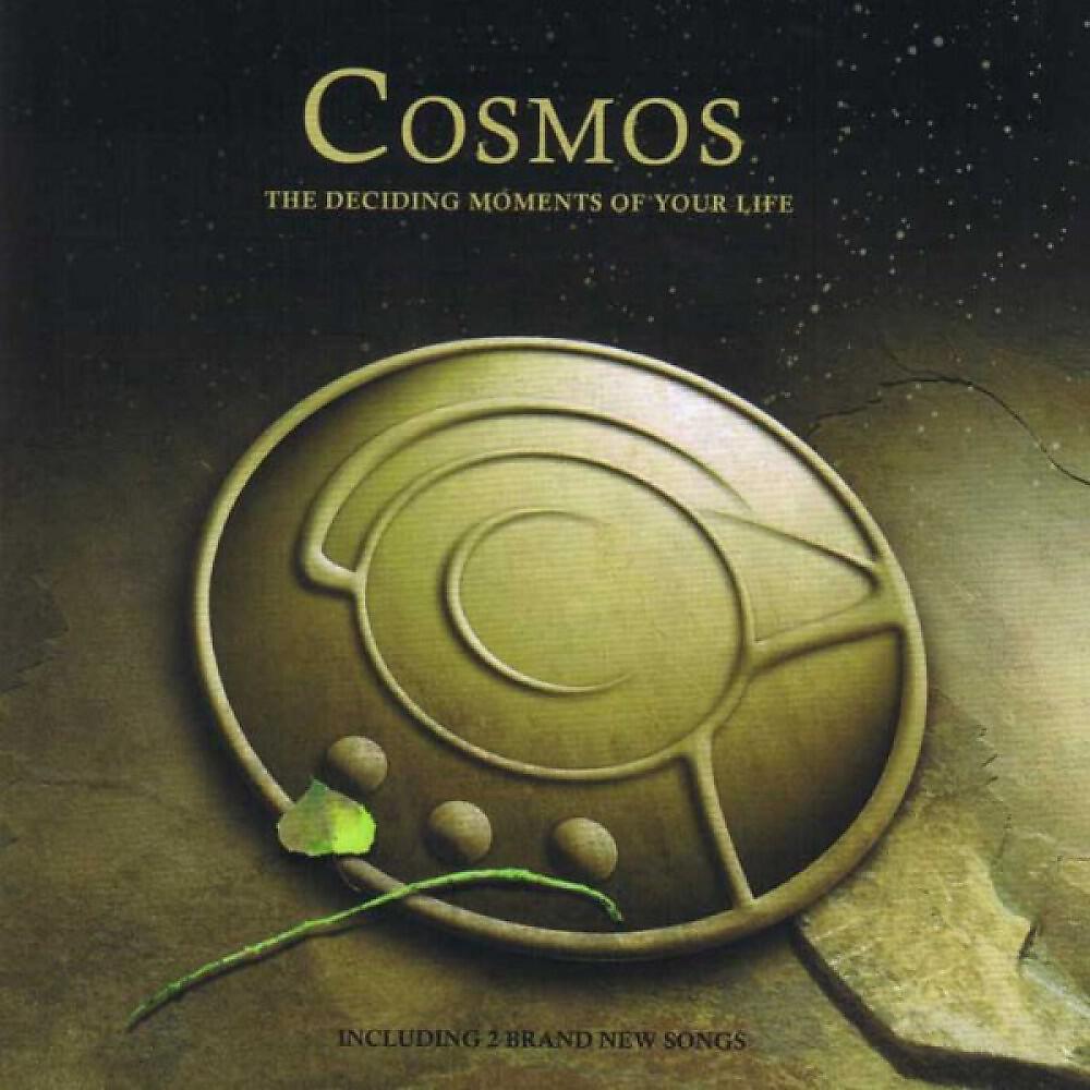 цитата про лидера рузвельт. Cosmos the deciding moments of your life 1994. Moment of decision. Zmot. The decisive moment.