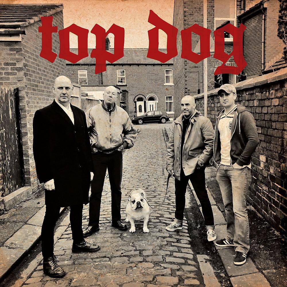 Постер альбома Top Dog Album