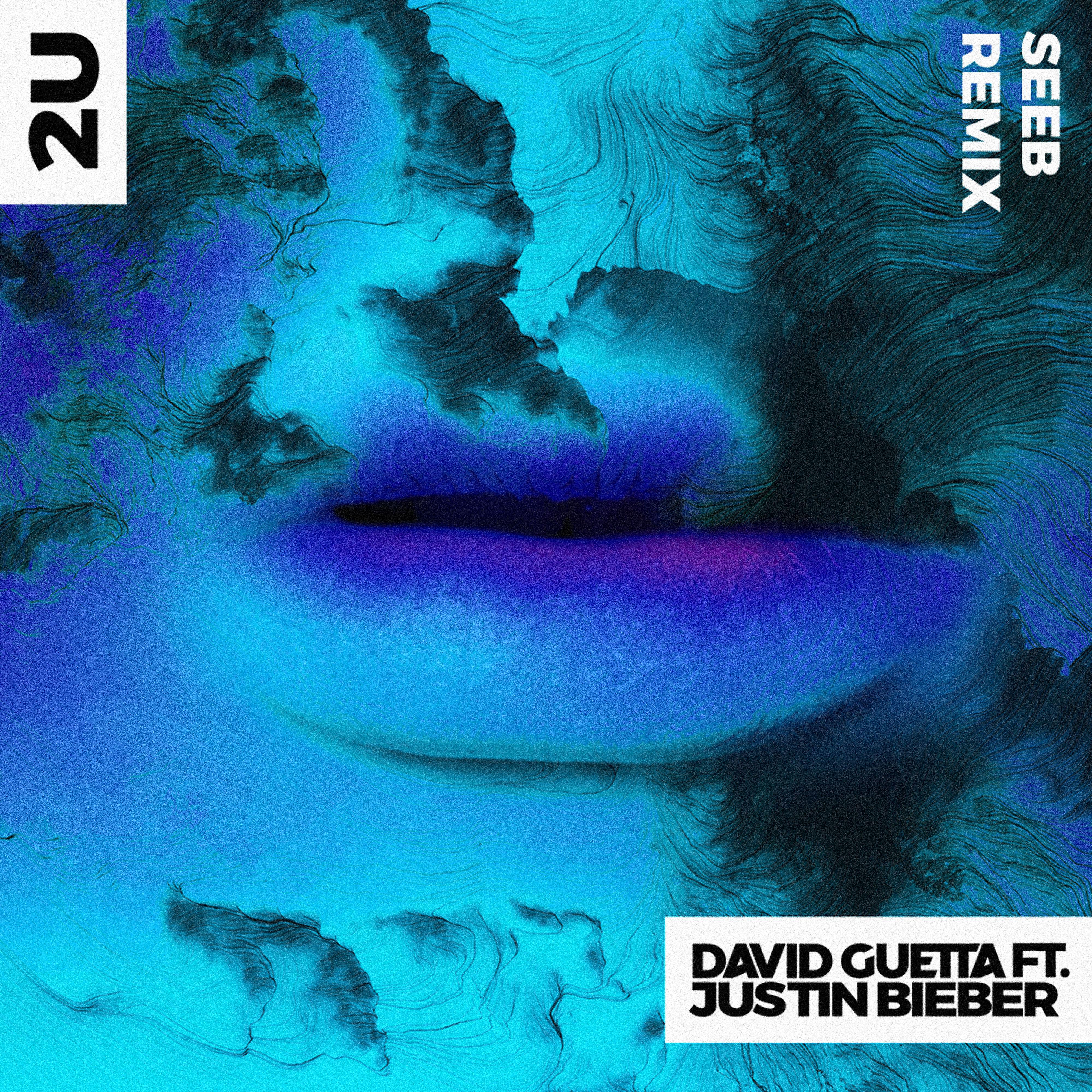 David Guetta - 2U (feat. Justin Bieber) [Seeb Remix]