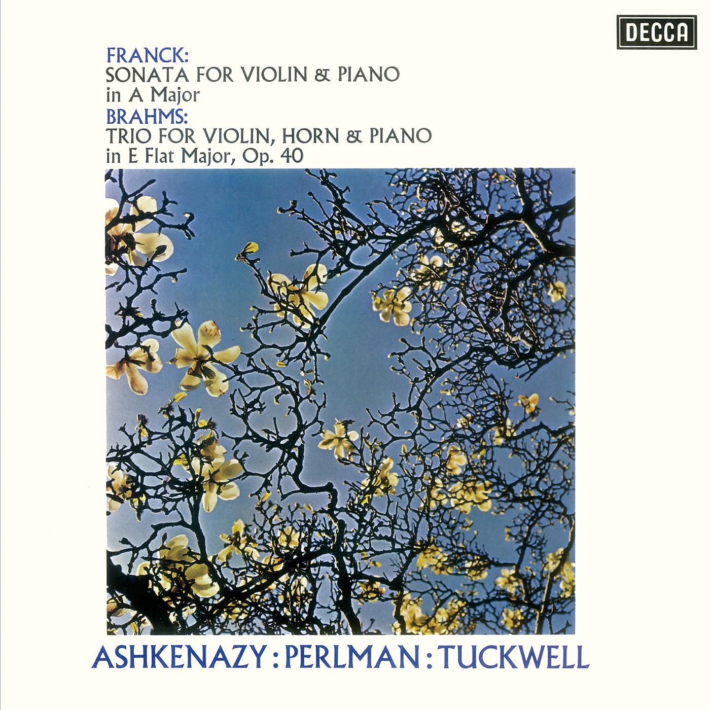 Постер альбома Franck: Violin Sonata / Brahms: Horn Trio
