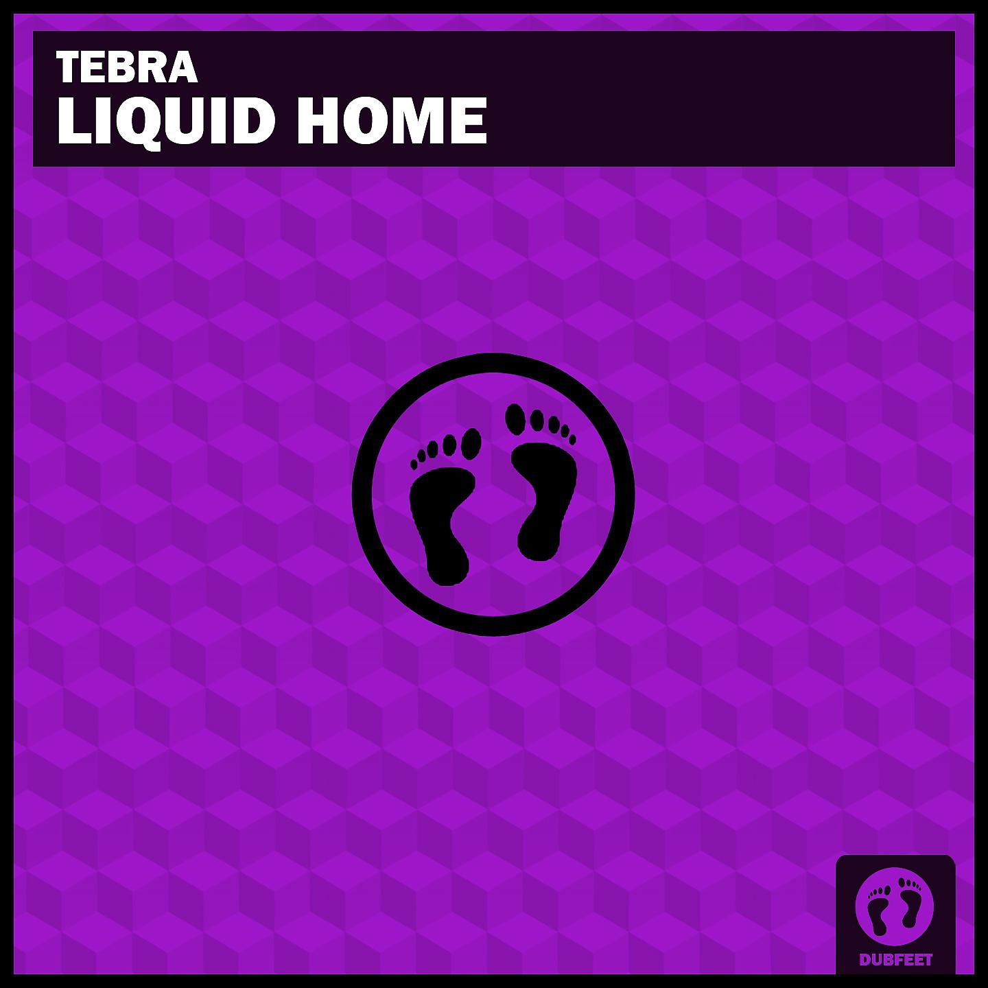 Постер альбома Liquid Home
