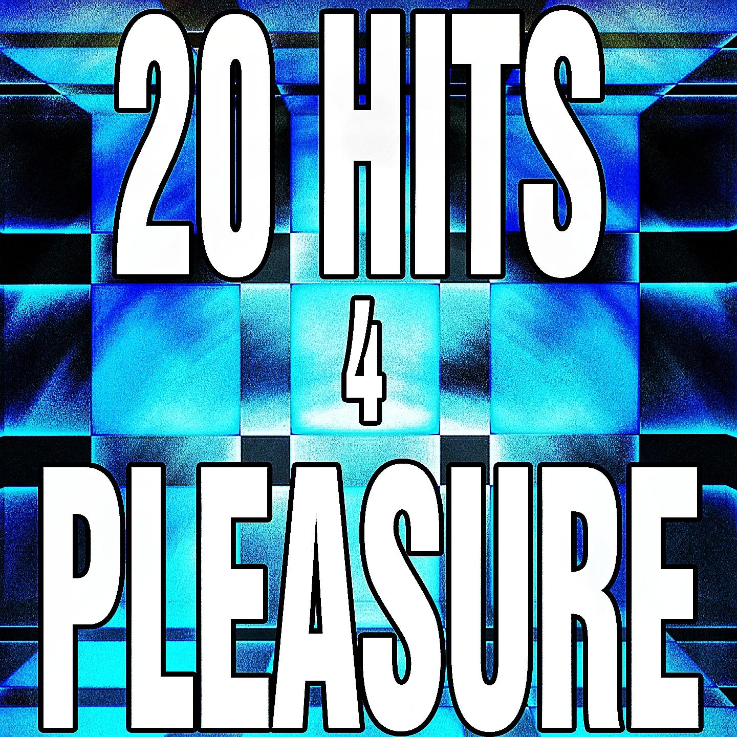 Постер альбома 20 Hits 4 Pleasure
