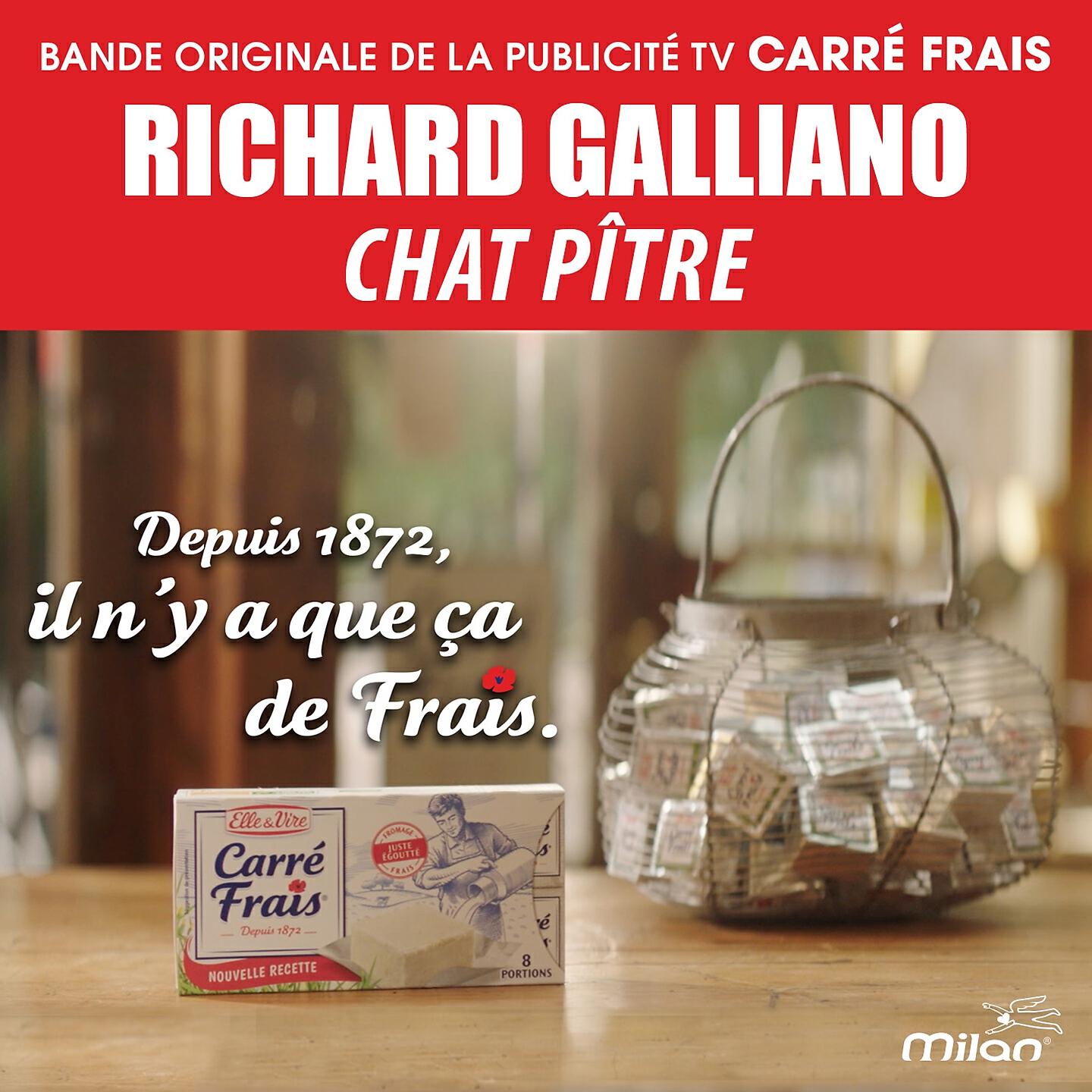 Richard Galliano - Chat pître (Bande originale de la publicité 