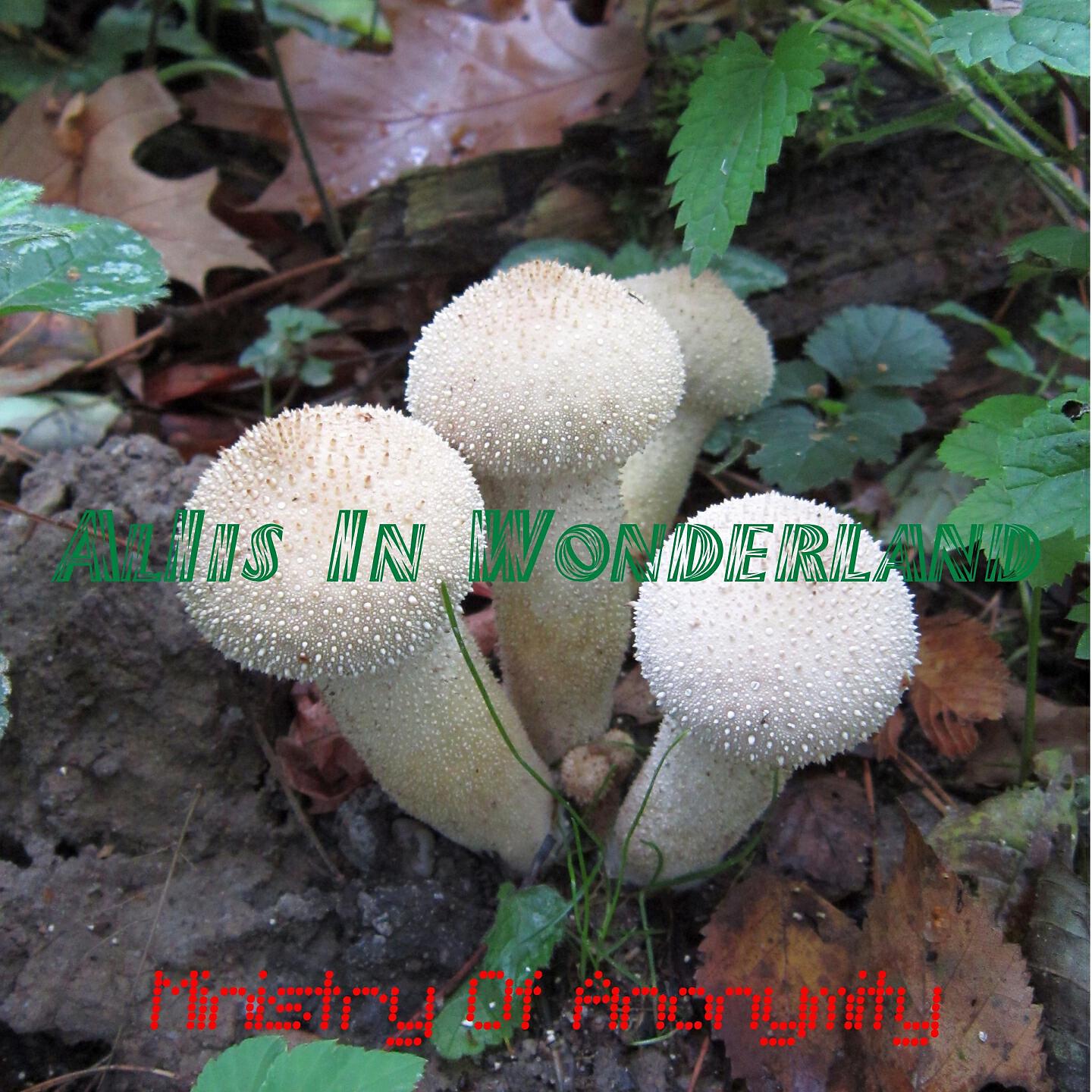 AlIis In Wonderland - Bangers
