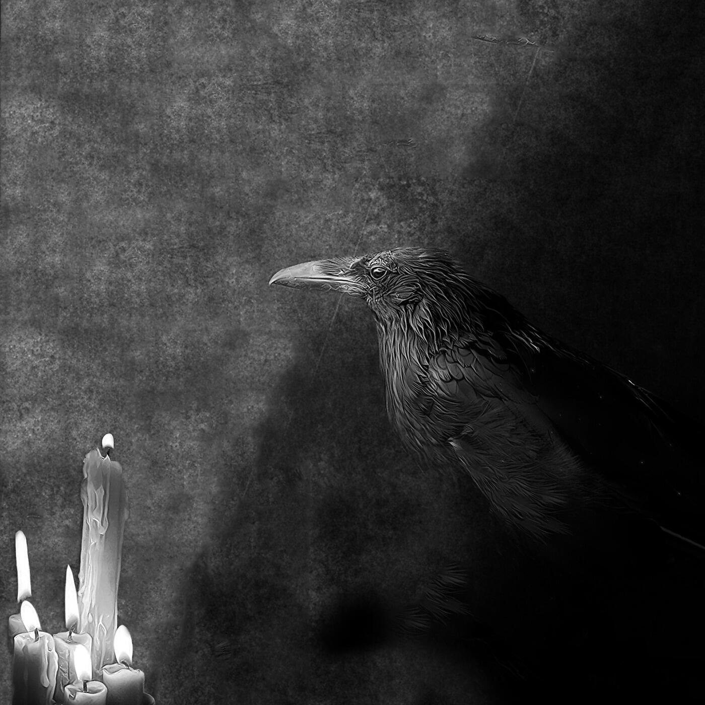 Jade Helm - King Crow, Who Hears the Talk
