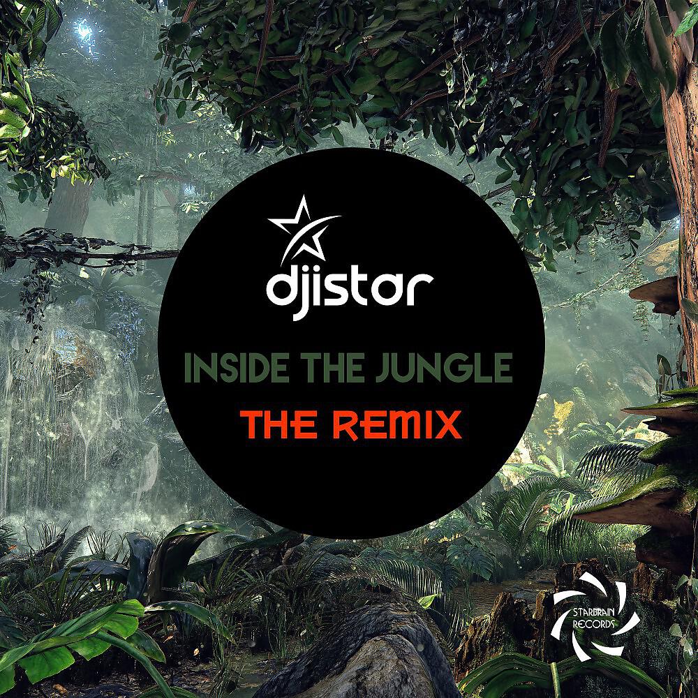 DJ Istar - Inside the Jungle (The Remix)
