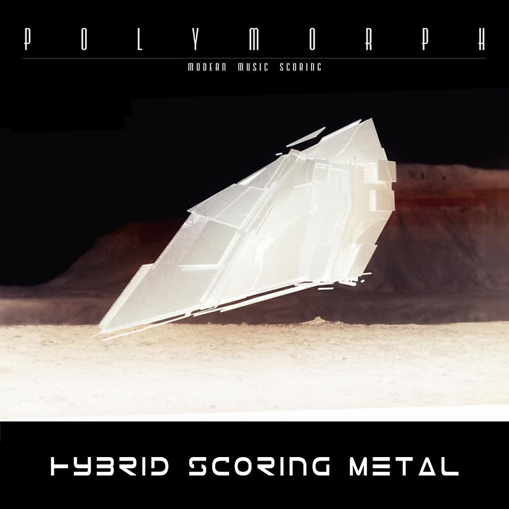 Polymorph - Mirrors