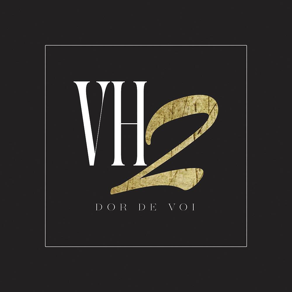 VH2 - Dor de voi