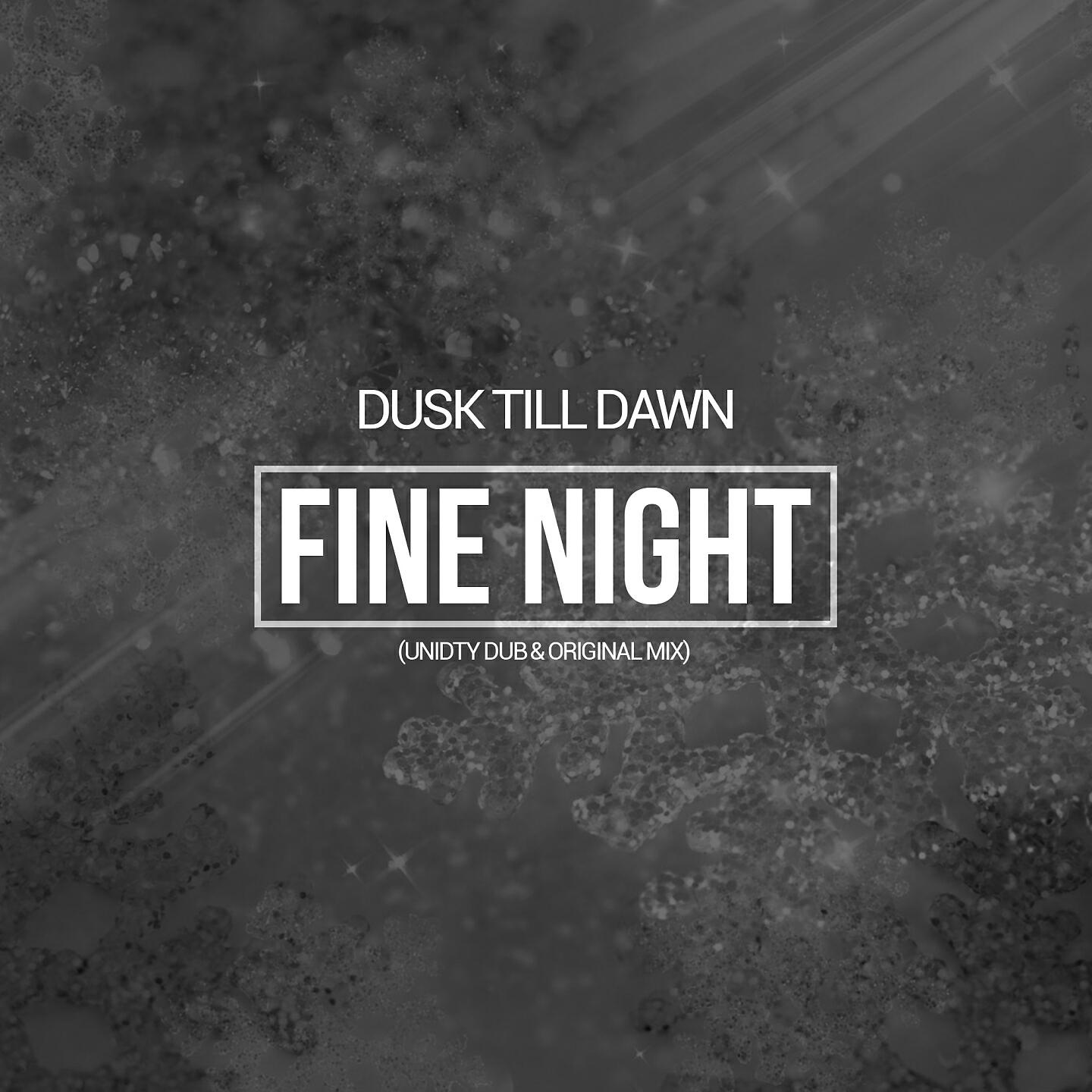 Dusk Till Dawn - Fine Night (Unity Dub Remix)
