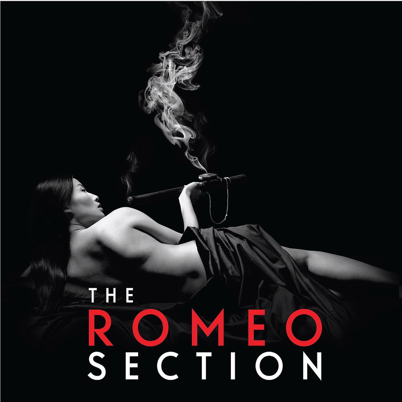 Постер альбома The Romeo Section (Original Music from the Television Series)