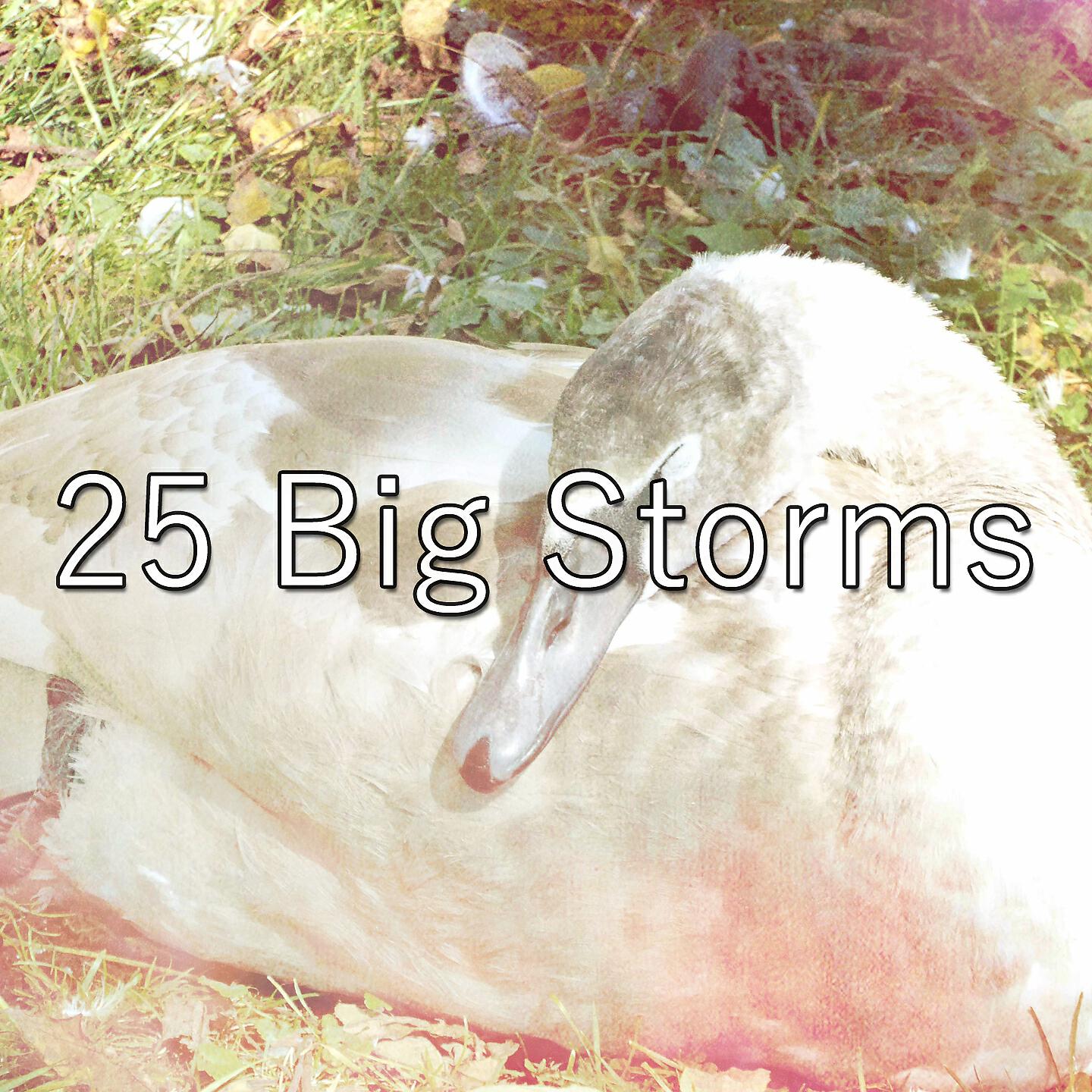 Rain Sounds Nature Collection - Metal Dings While A Storm Rages On