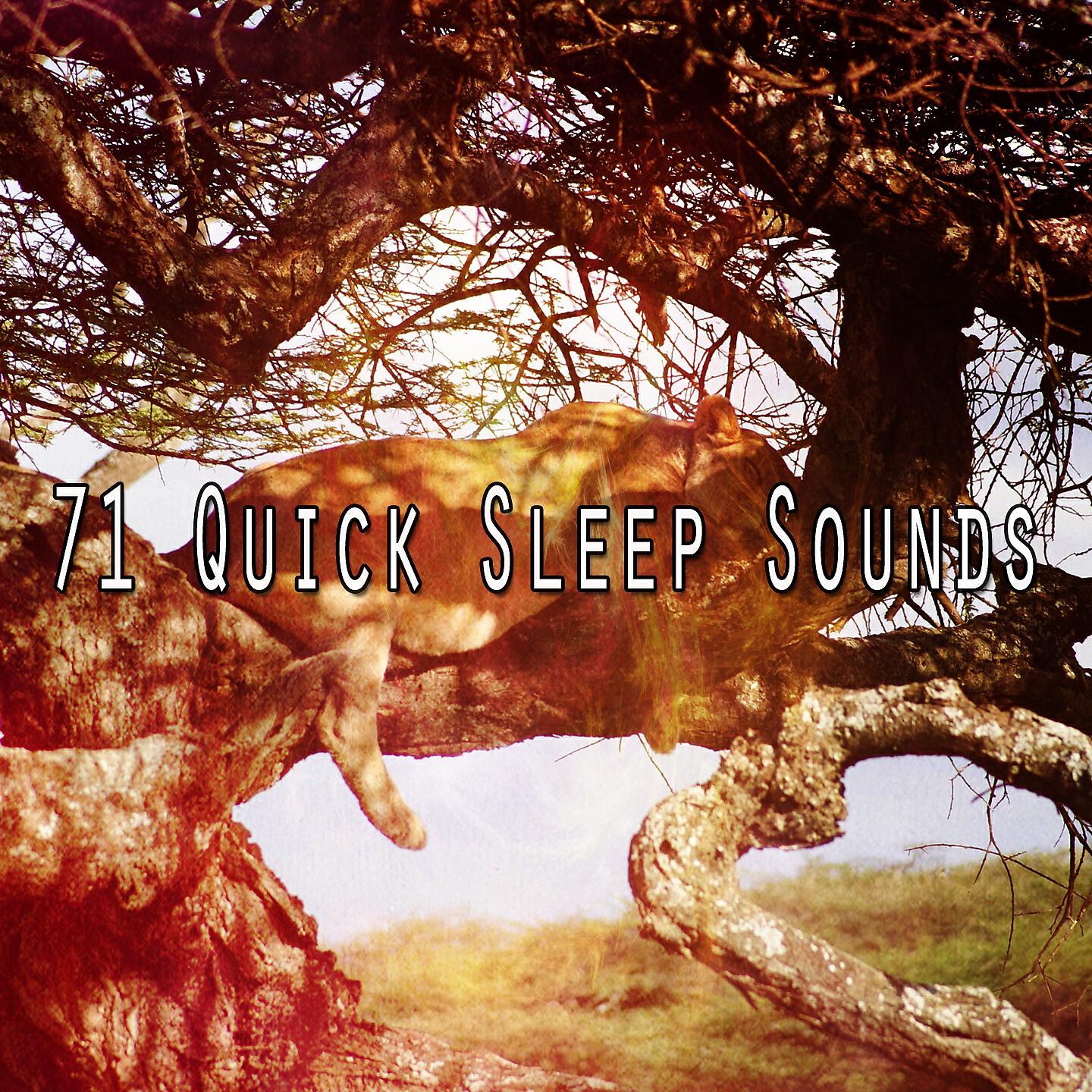 Ocean Waves For Sleep - Streaming Gust