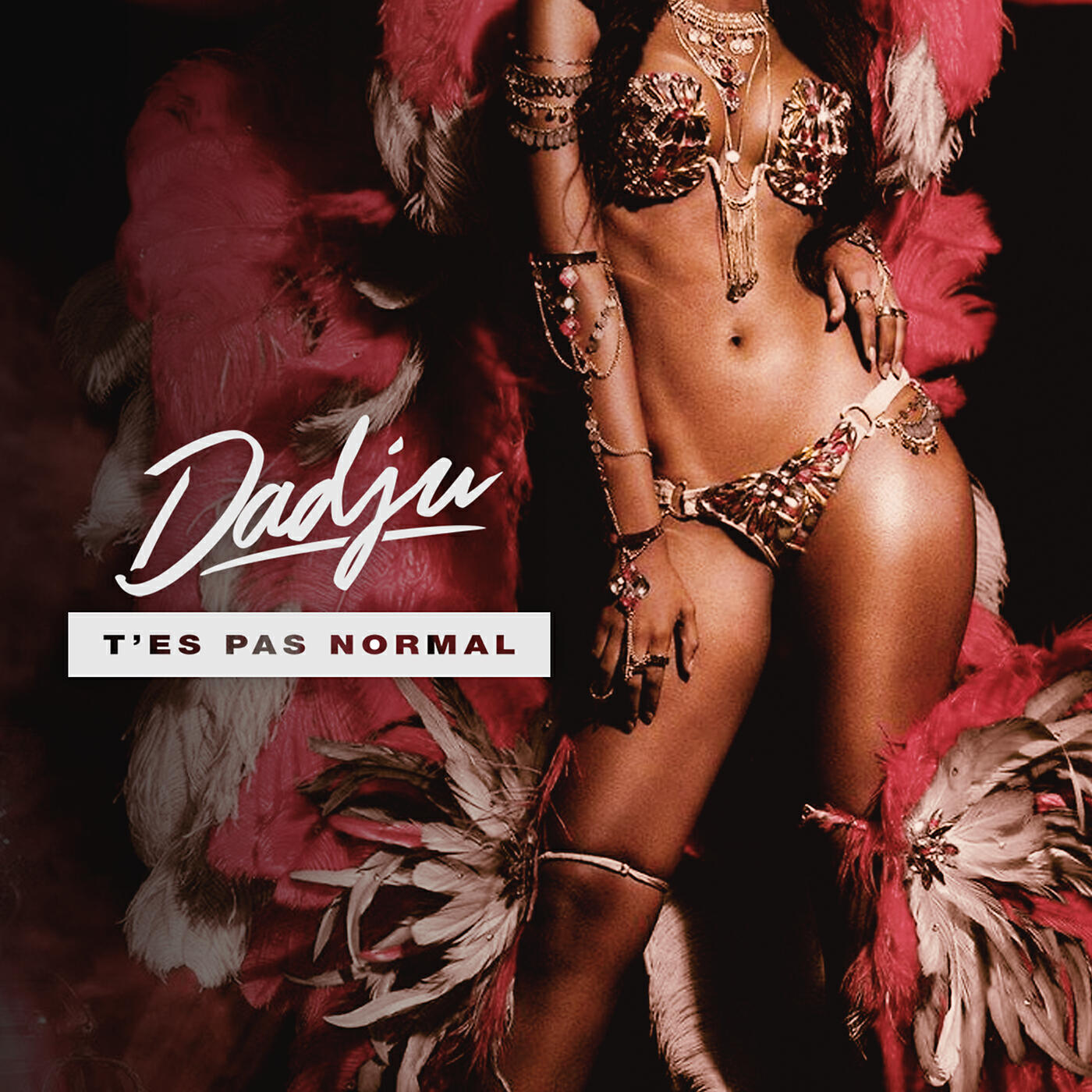 Dadju - T'es pas normal