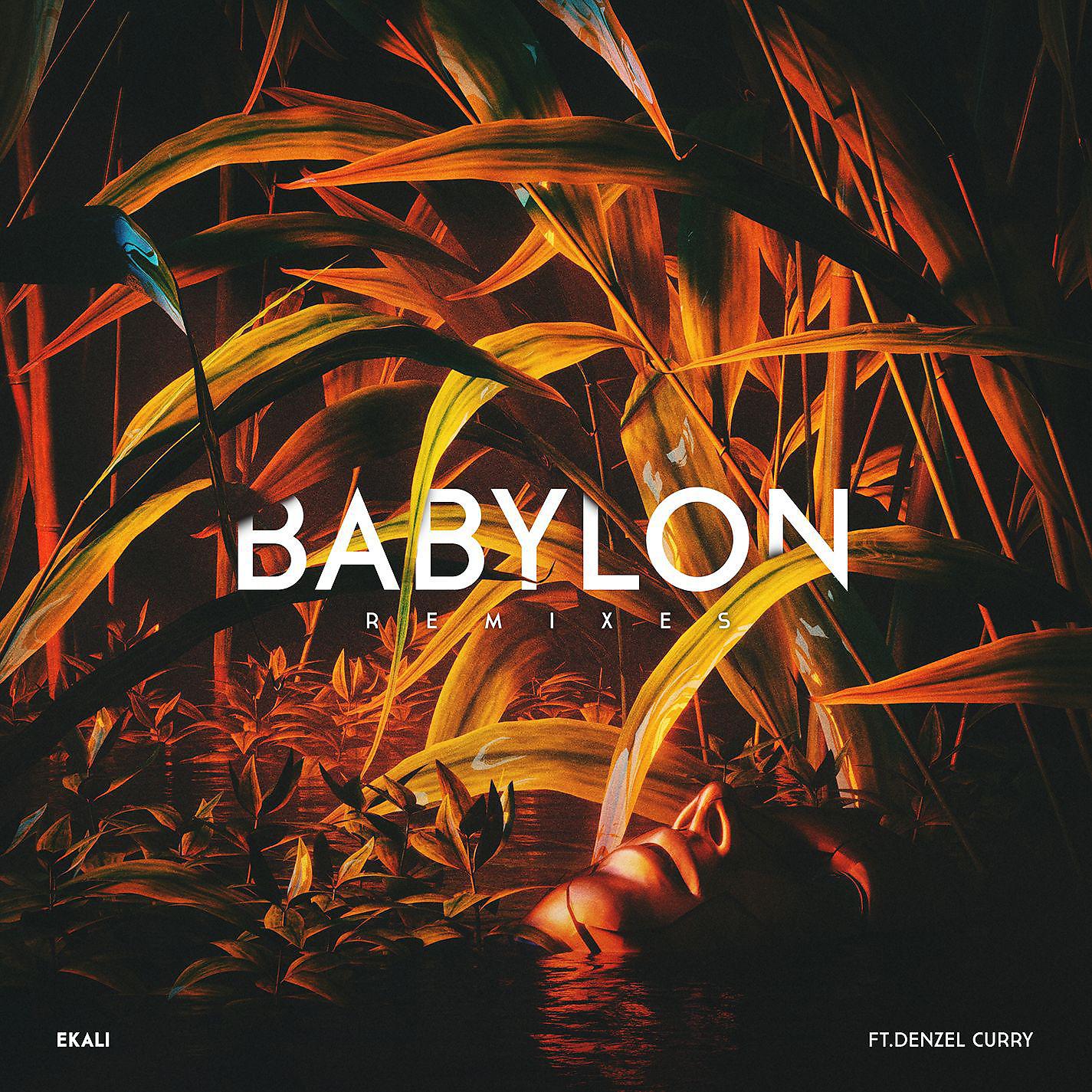 Постер альбома Babylon (feat. Denzel Curry) [Remixes]