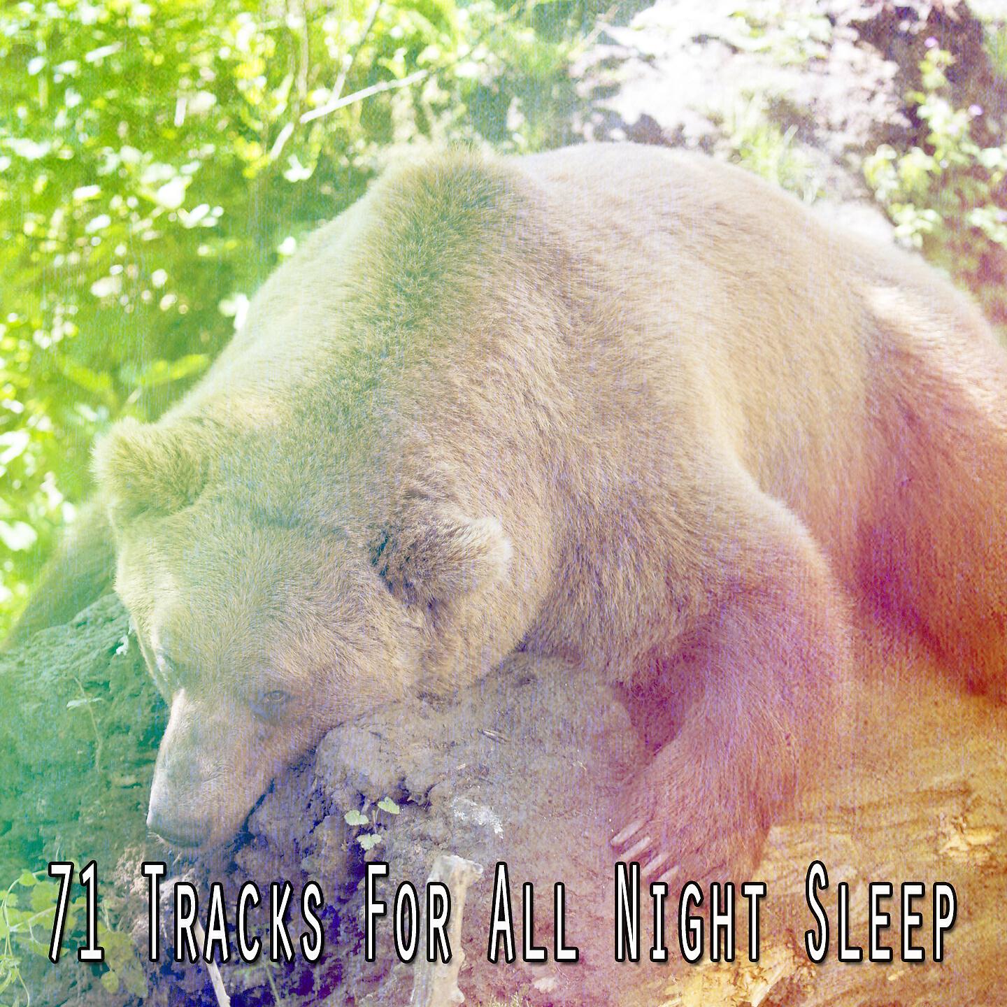 All Night Sleeping Songs to Help You Relax - Chiming Rain Drops