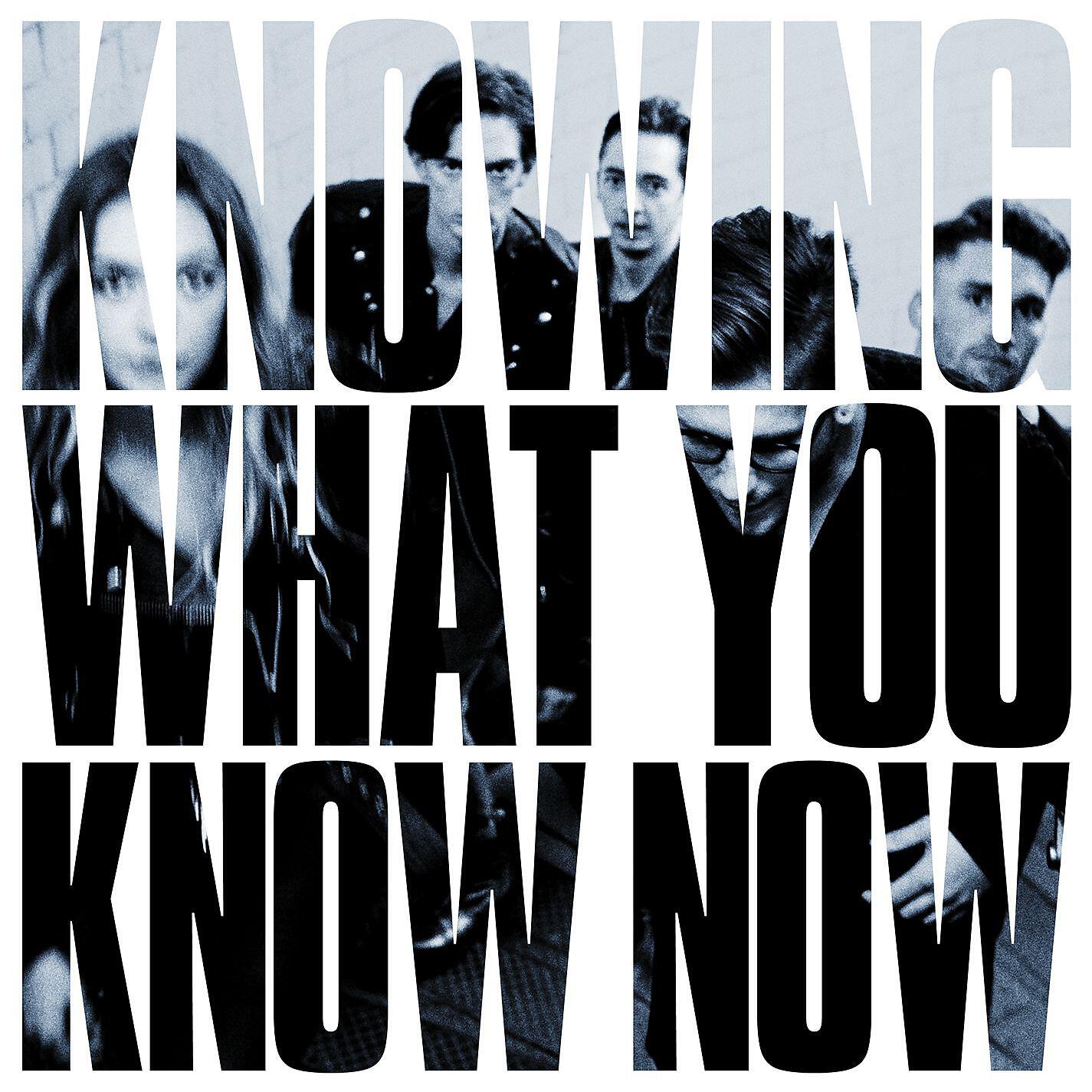 Marmozets - Habits