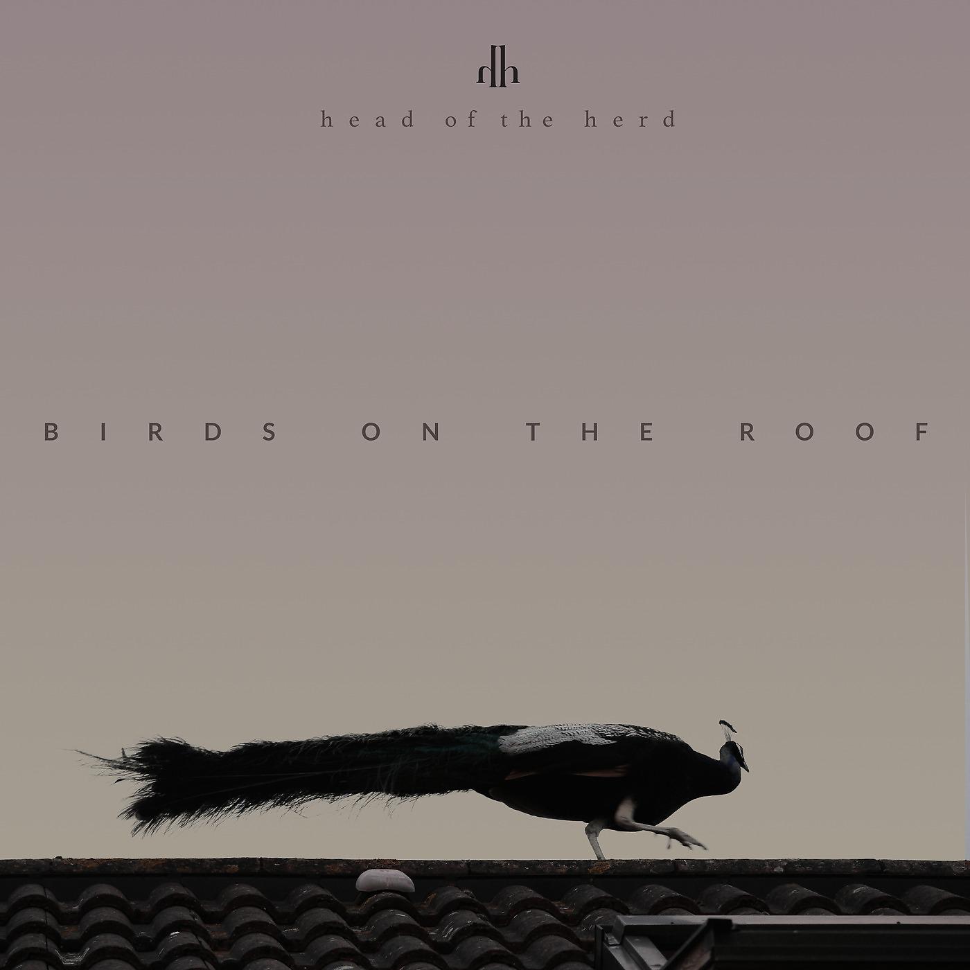 Постер альбома Birds on the Roof (Deluxe Edition)